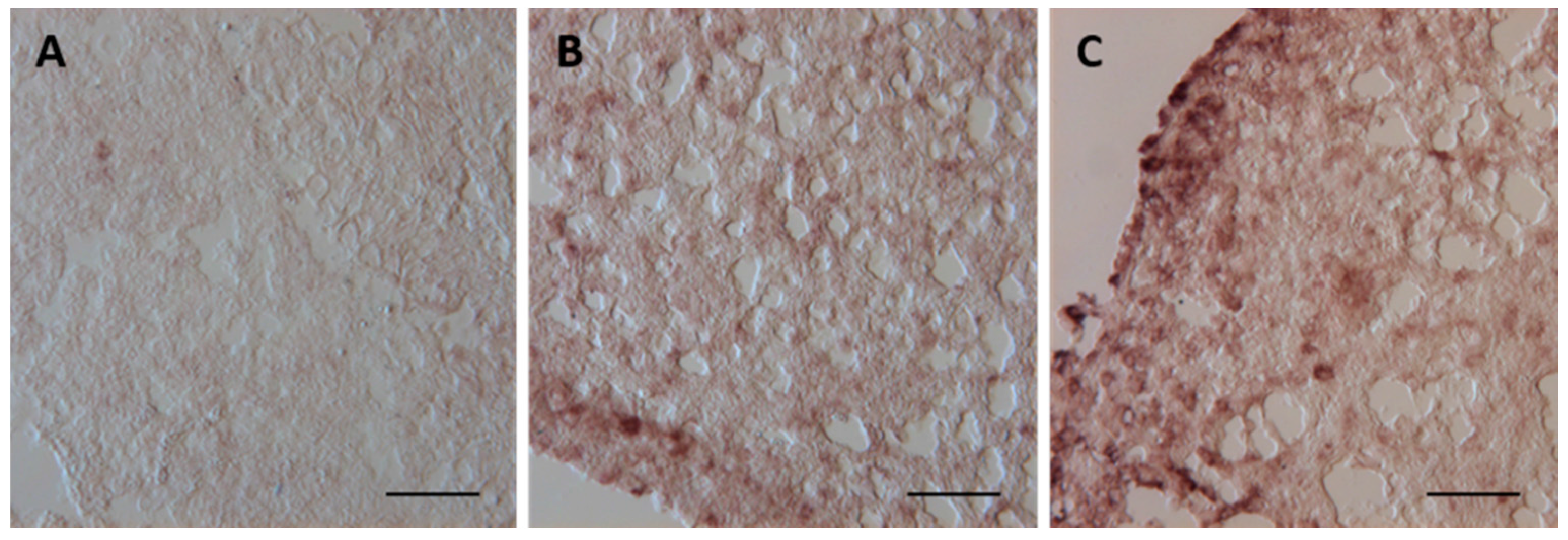 Ijms 17 00361 g007