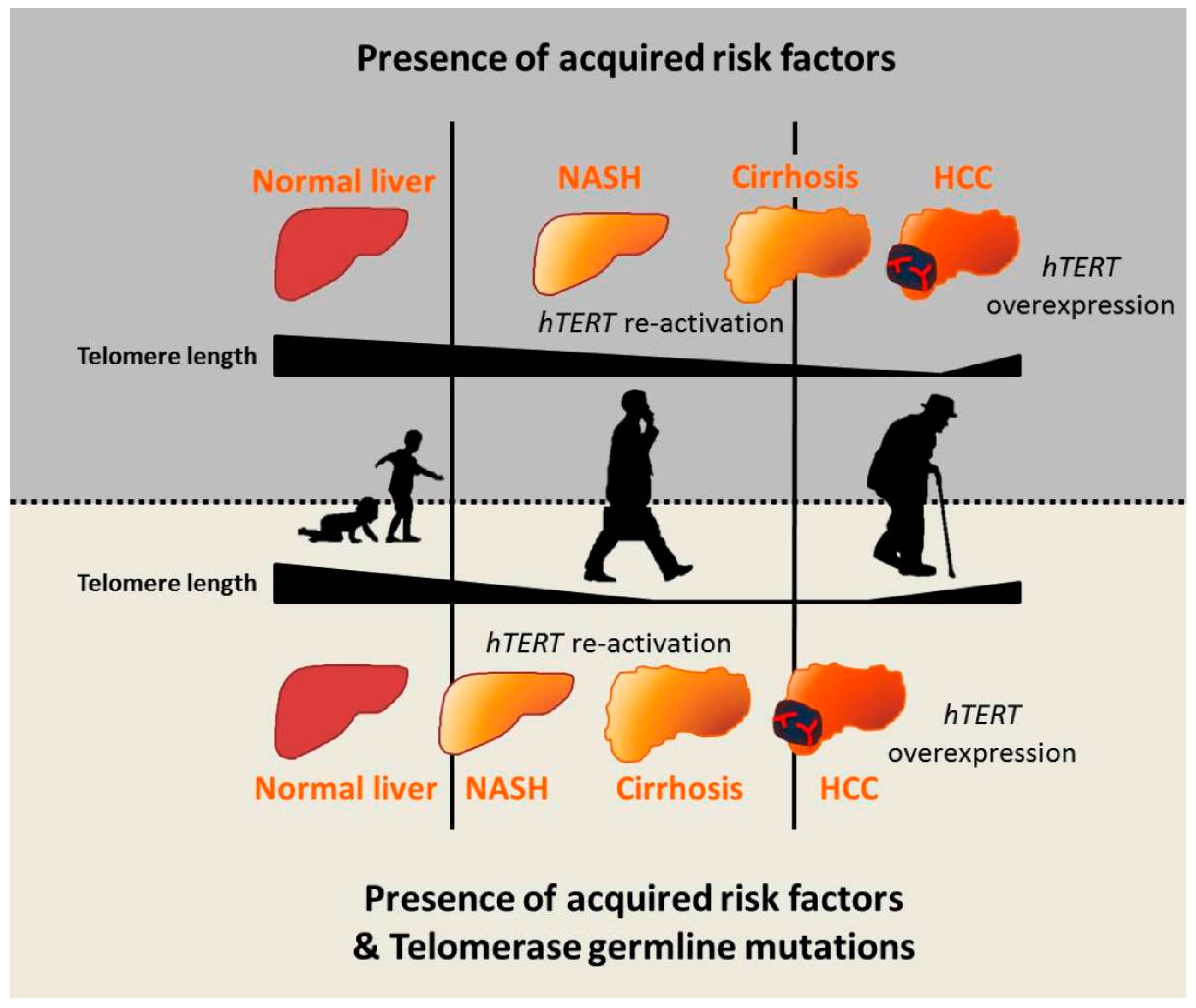 Ijms 17 00383 g002 1024