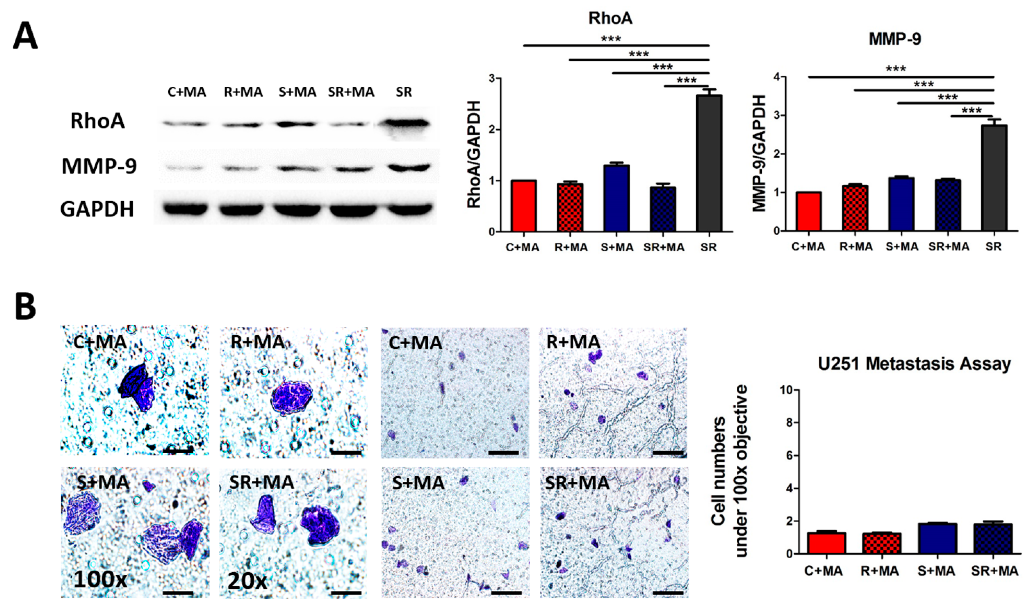 Ijms 17 00386 g007