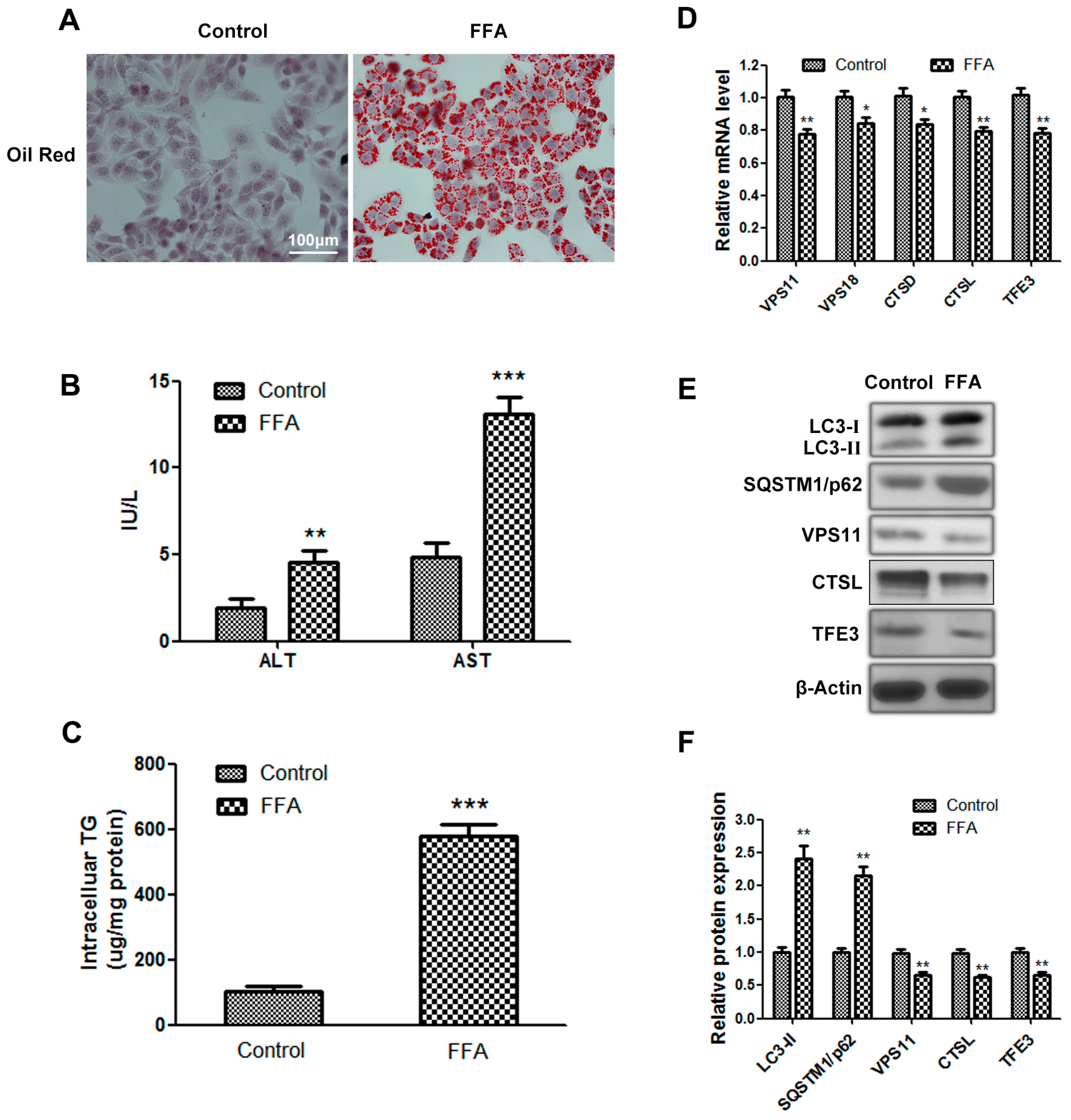 Ijms 17 00387 g001 1024