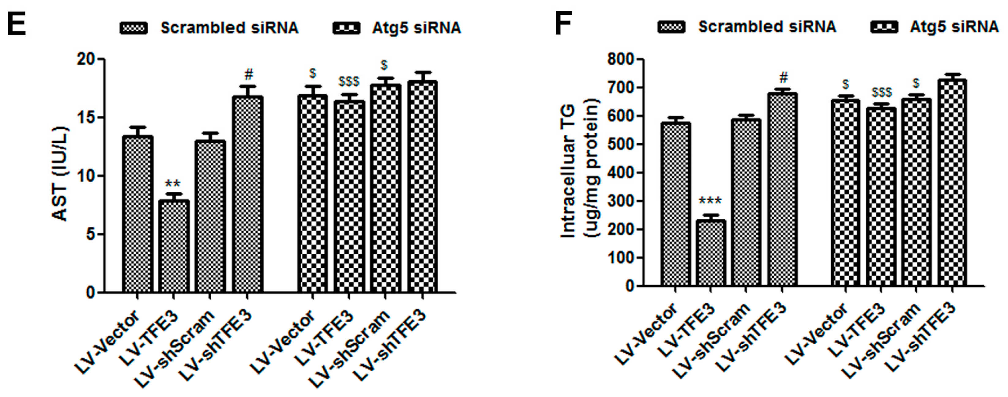 Ijms 17 00387 g003b 1024