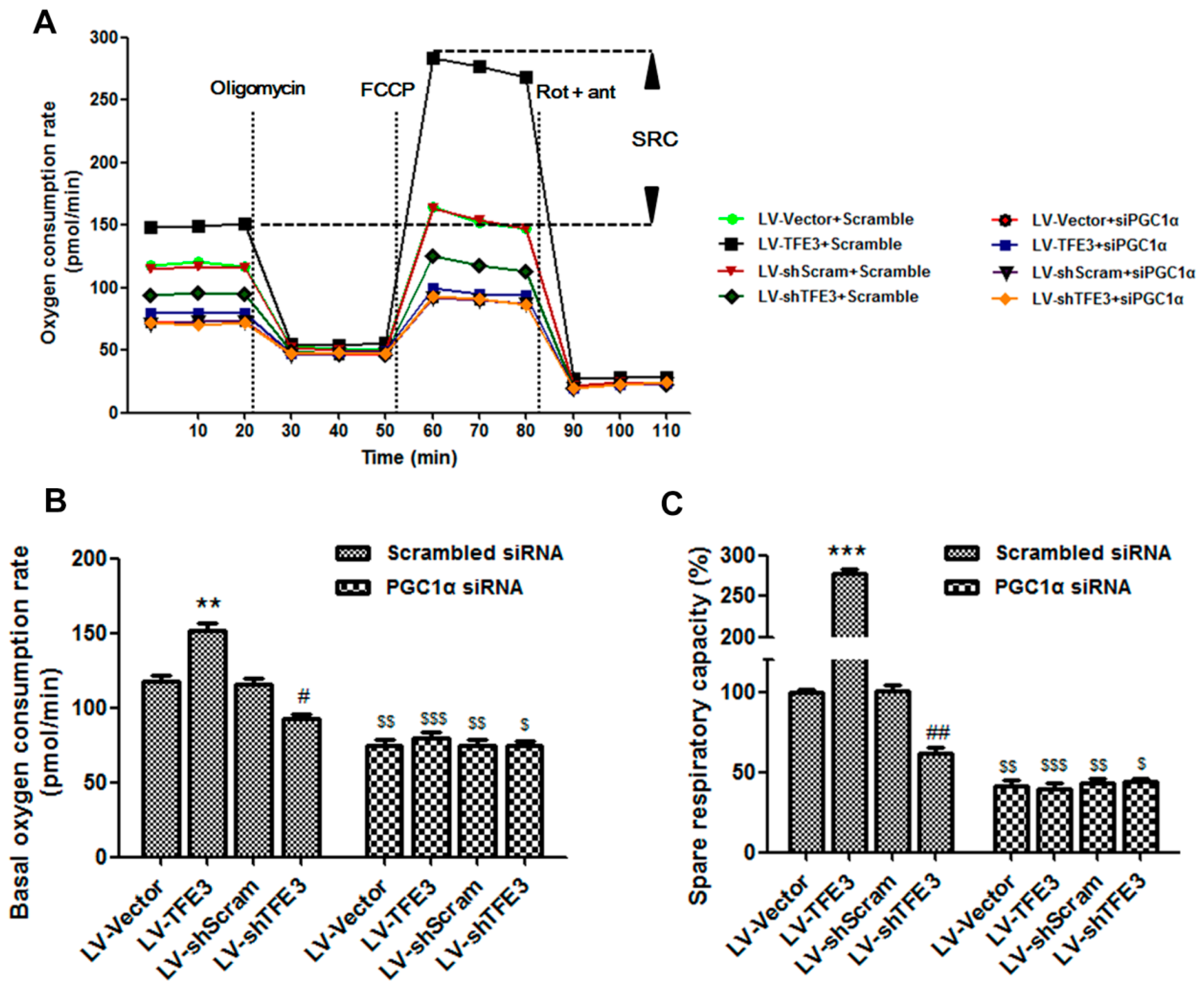 Ijms 17 00387 g005 1024
