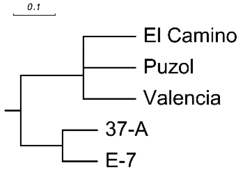 Ijms 17 00394 g002 1024