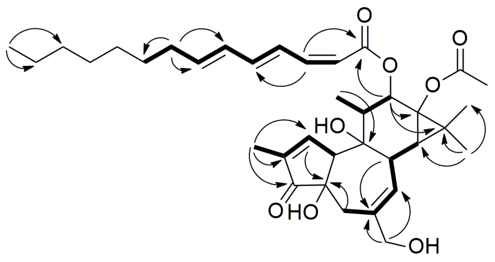 Ijms 17 00398 g003