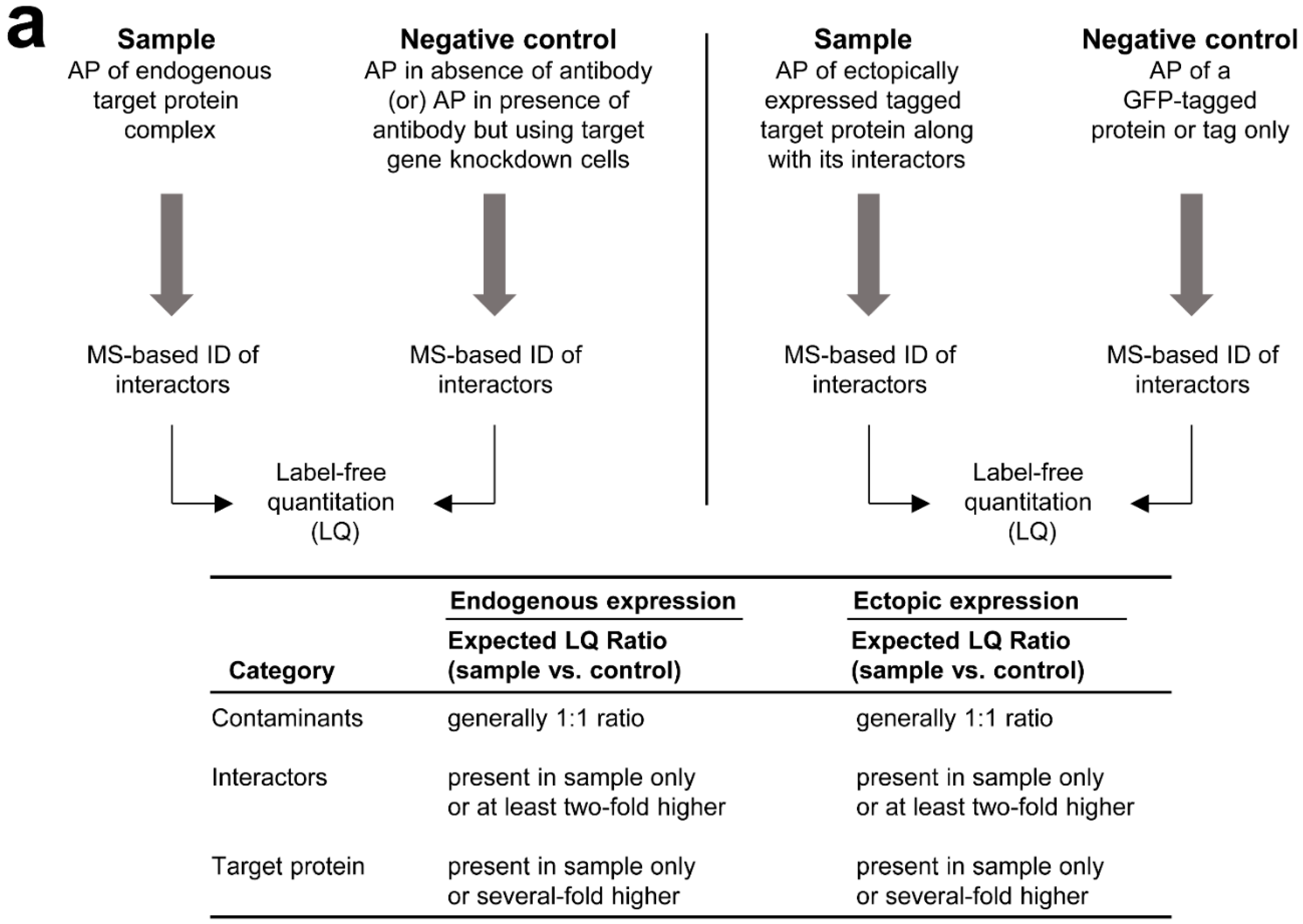 Ijms 17 00432 g002a 1024