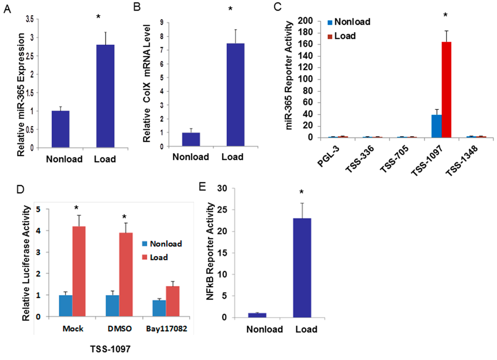 Ijms Free Full Text Mechanical And Il 1b Responsive Mir 365 Contributes To Osteoarthritis Development By Targeting Histone Deacetylase 4 Html Ijms Free Full Text Mechanical And Il 1b Responsive Mir 365 Contributes To Osteoarthritis Development By Targeting Histone Deacetylase 4 Html