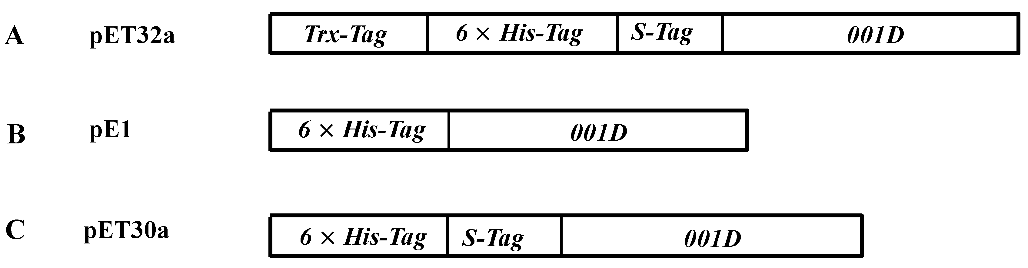 Ijms 17 00493 g006