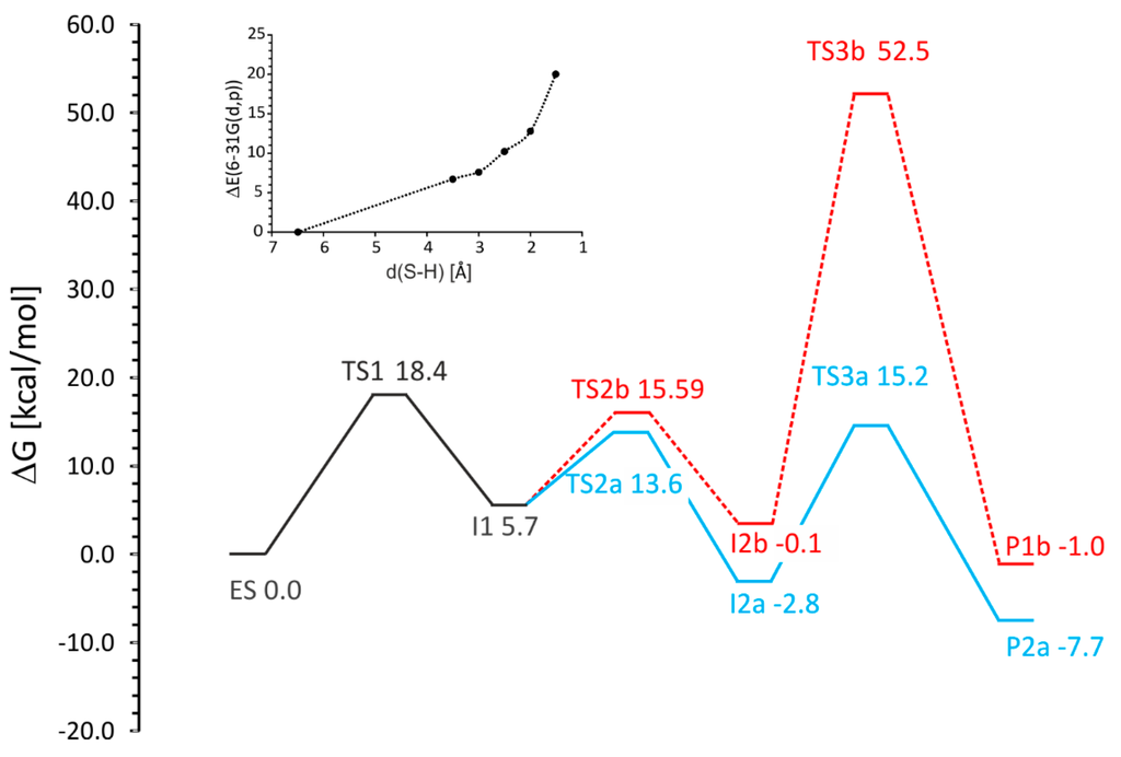 Ijms Free Full Text Modeling Of The Reaction Mechanism Of Enzymatic Radical C C Coupling By Benzylsuccinate Synthase