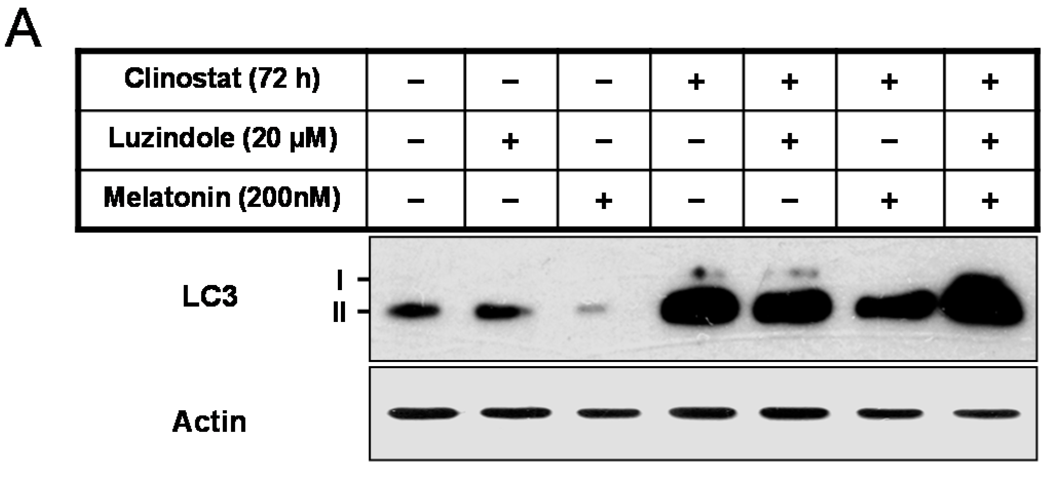 Ijms 17 00526 g006a
