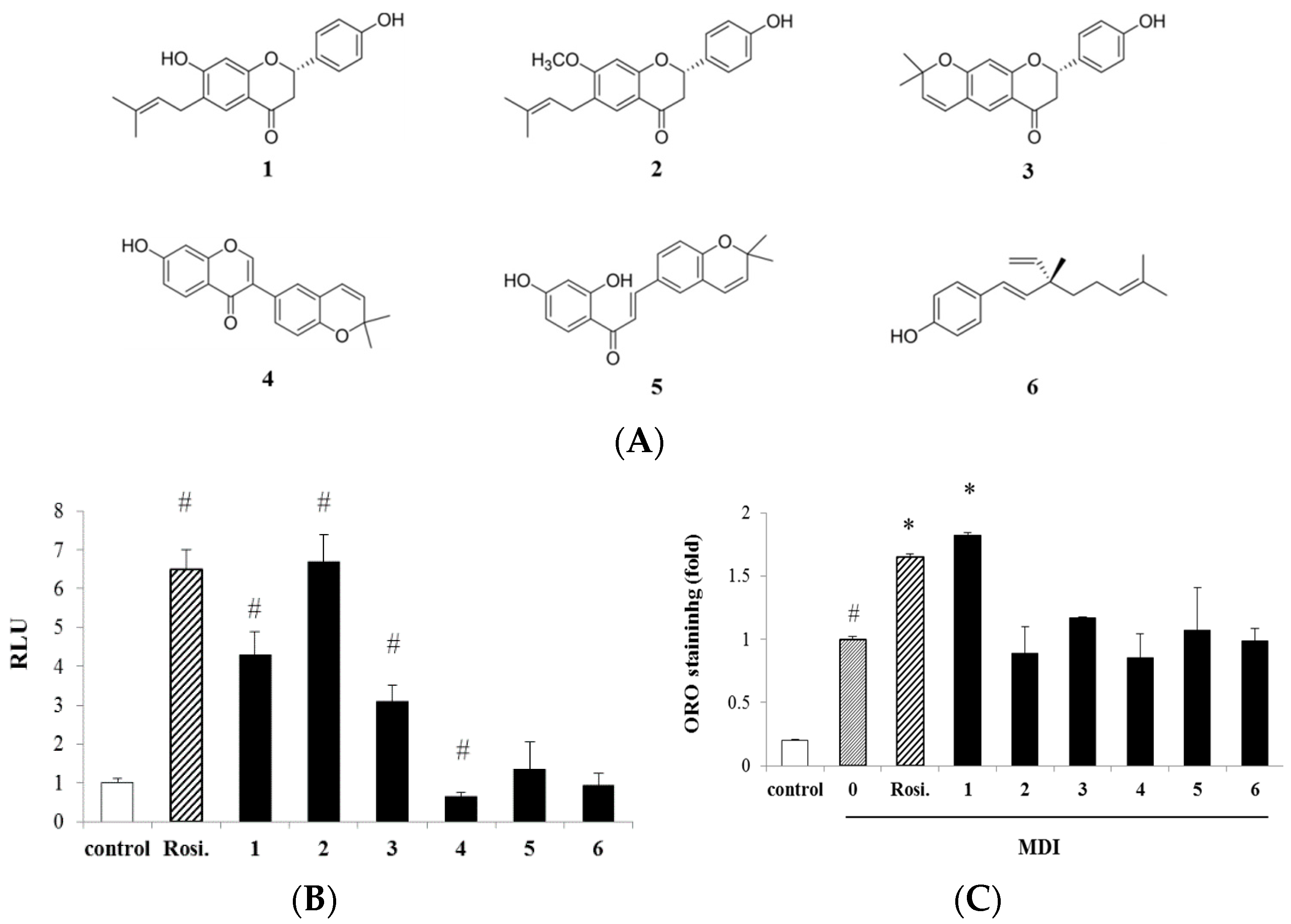 Ijms 17 00527 g001 1024