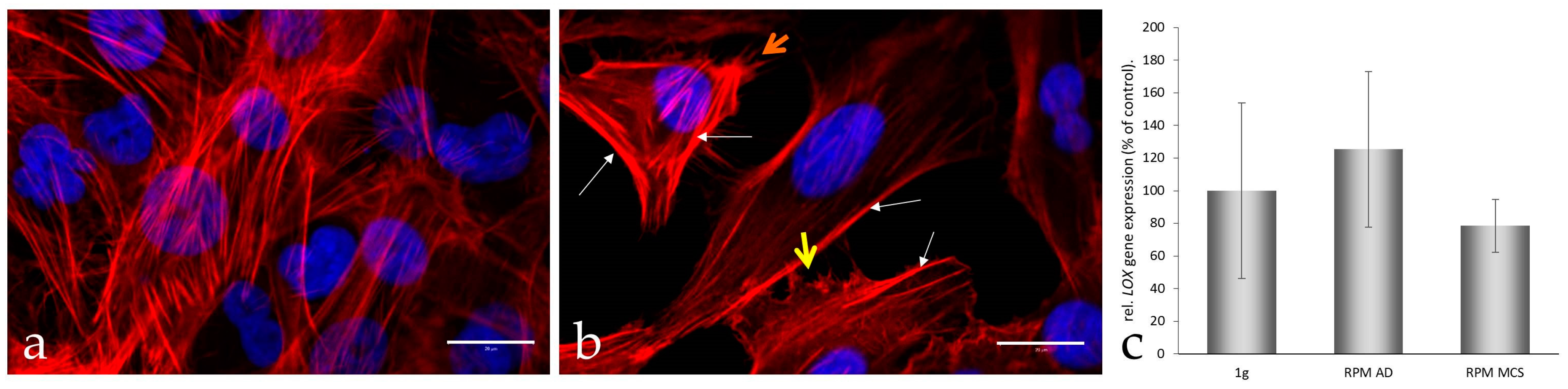 Ijms 17 00528 g002 1024