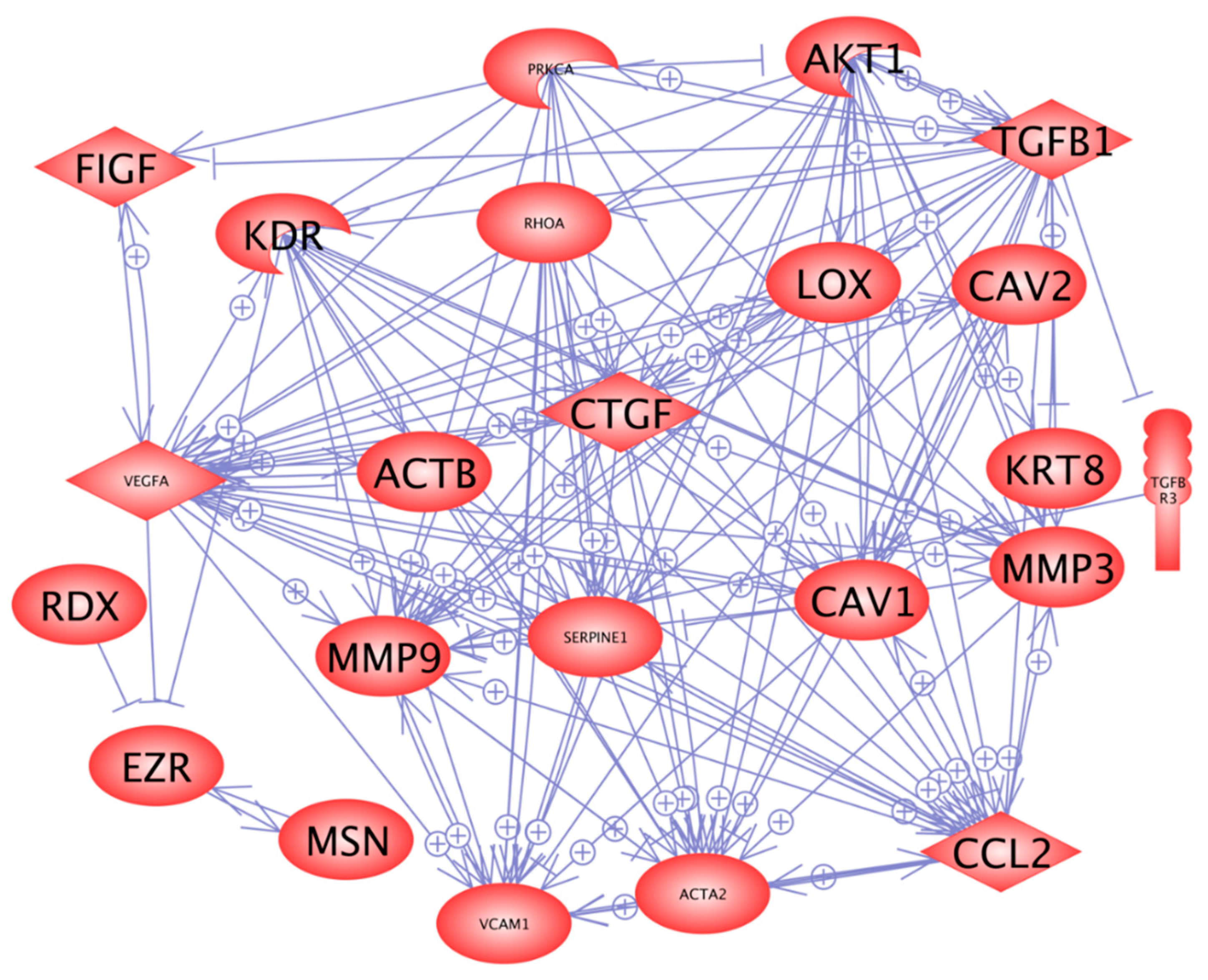 Ijms 17 00528 g006 1024