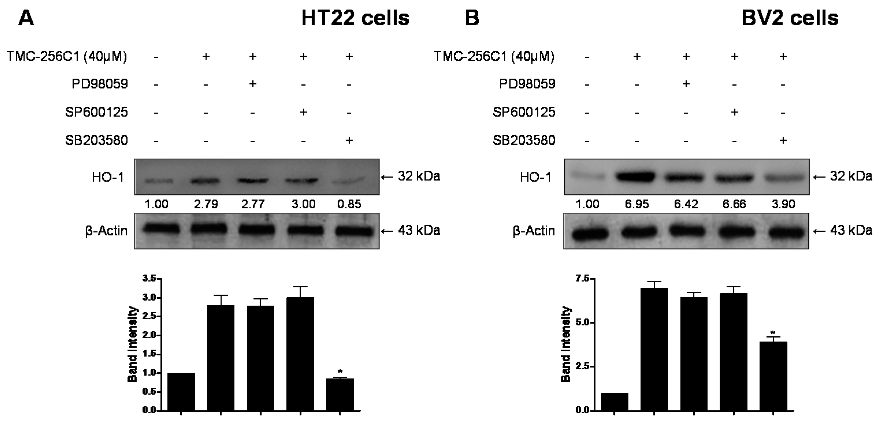 Ijms 17 00529 g010 1024