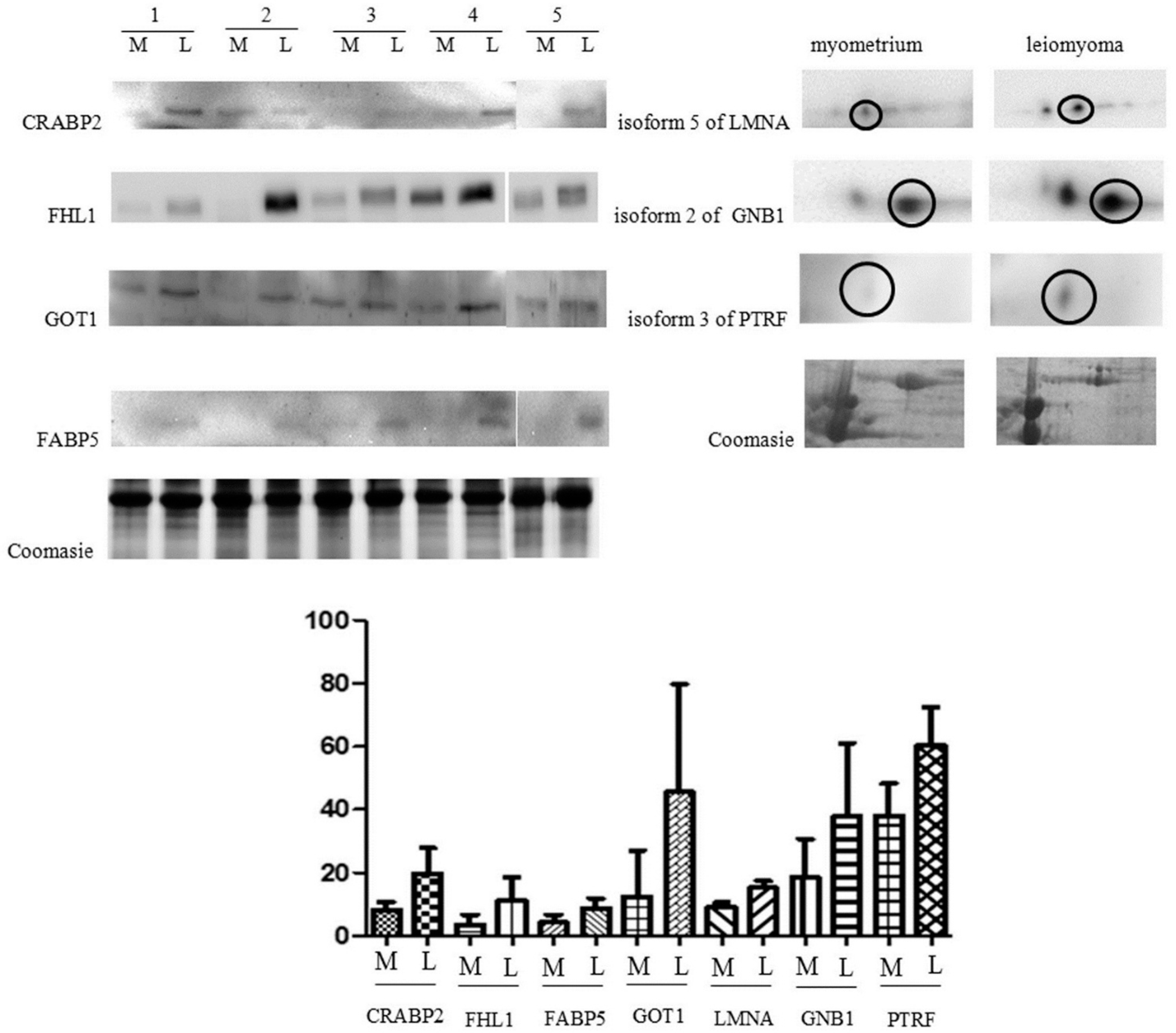 Ijms 17 00540 g002