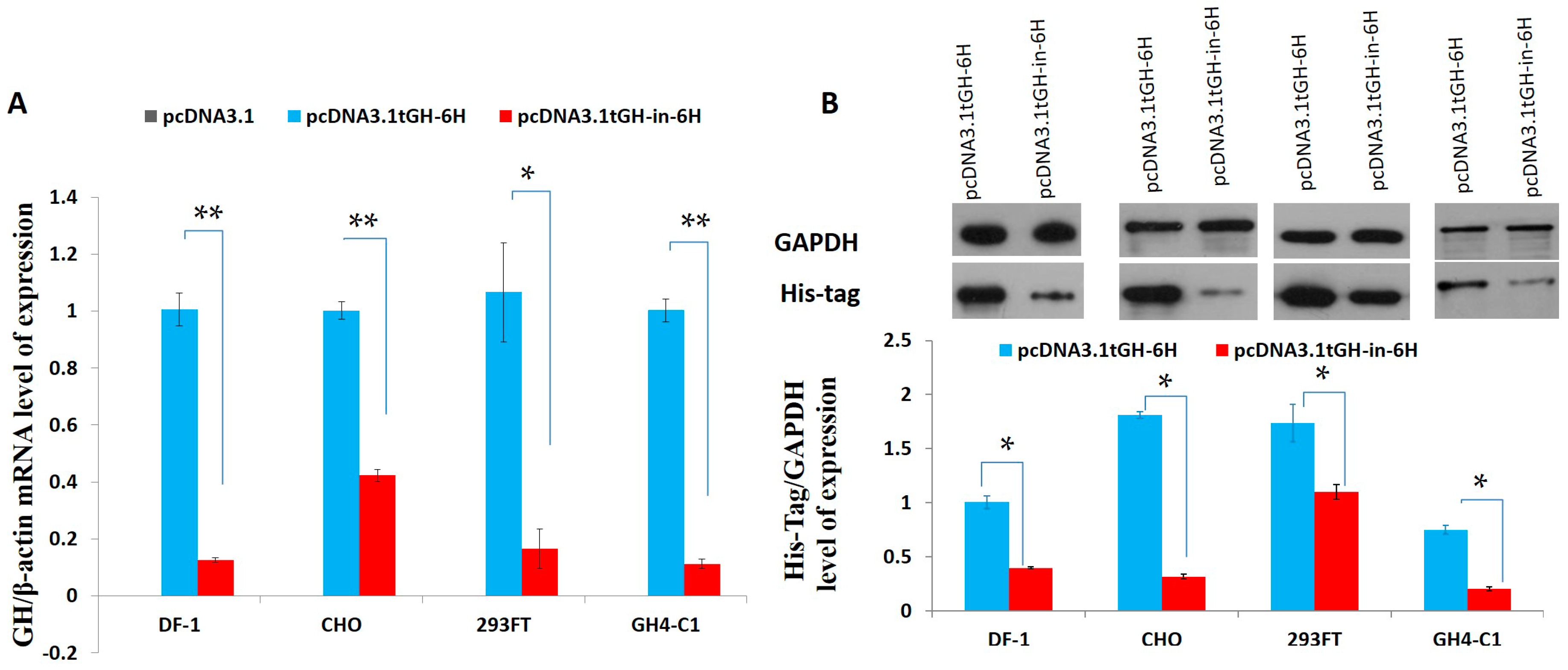 Ijms 17 00543 g005 1024