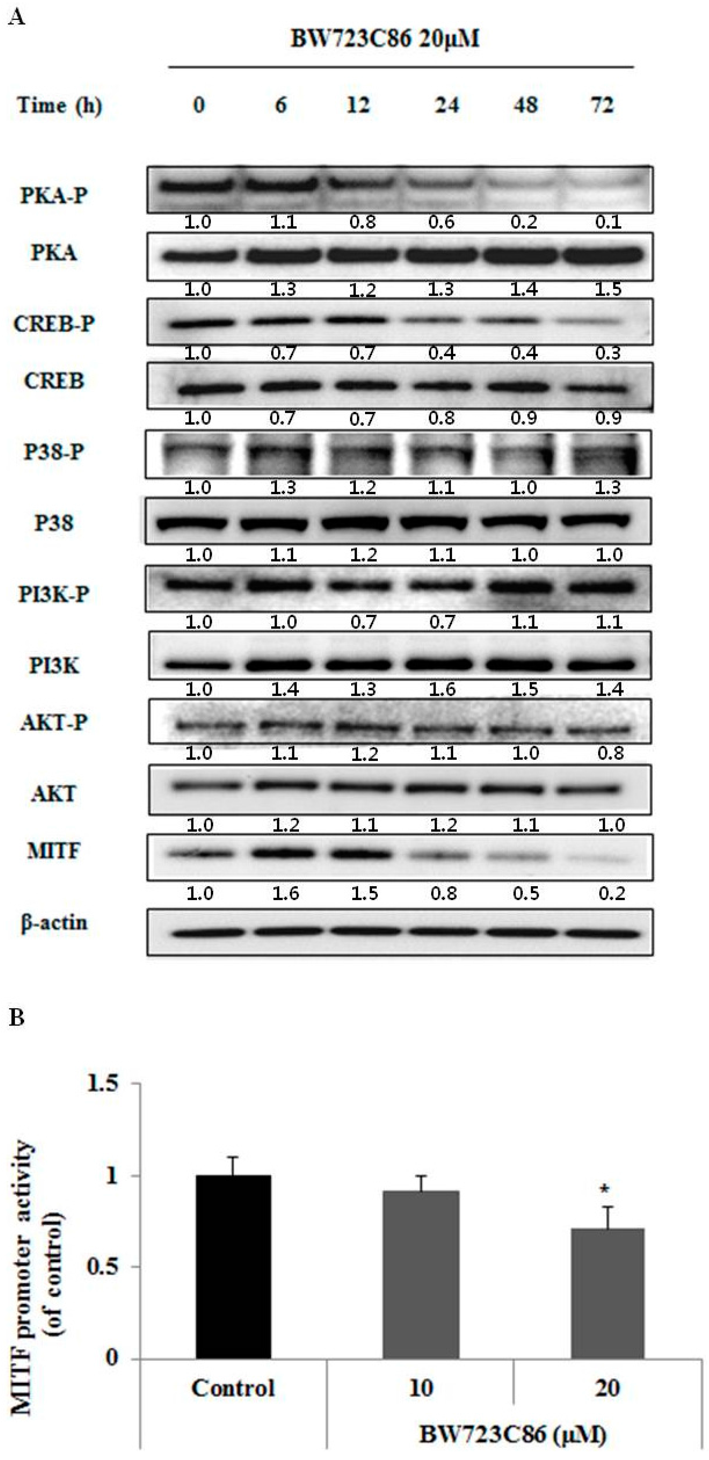 Ijms 17 00546 g004 1024