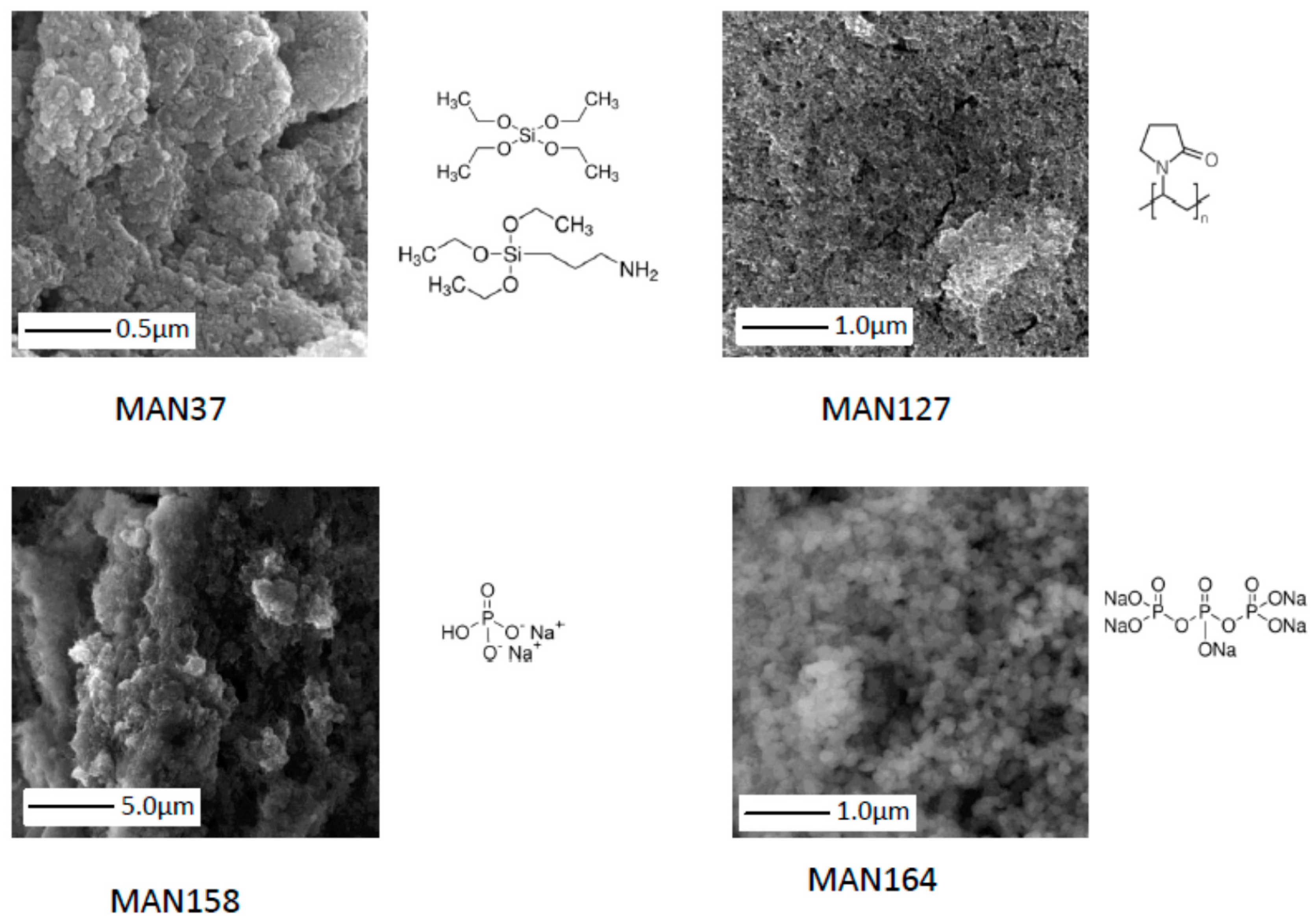Ijms 17 00550 g001