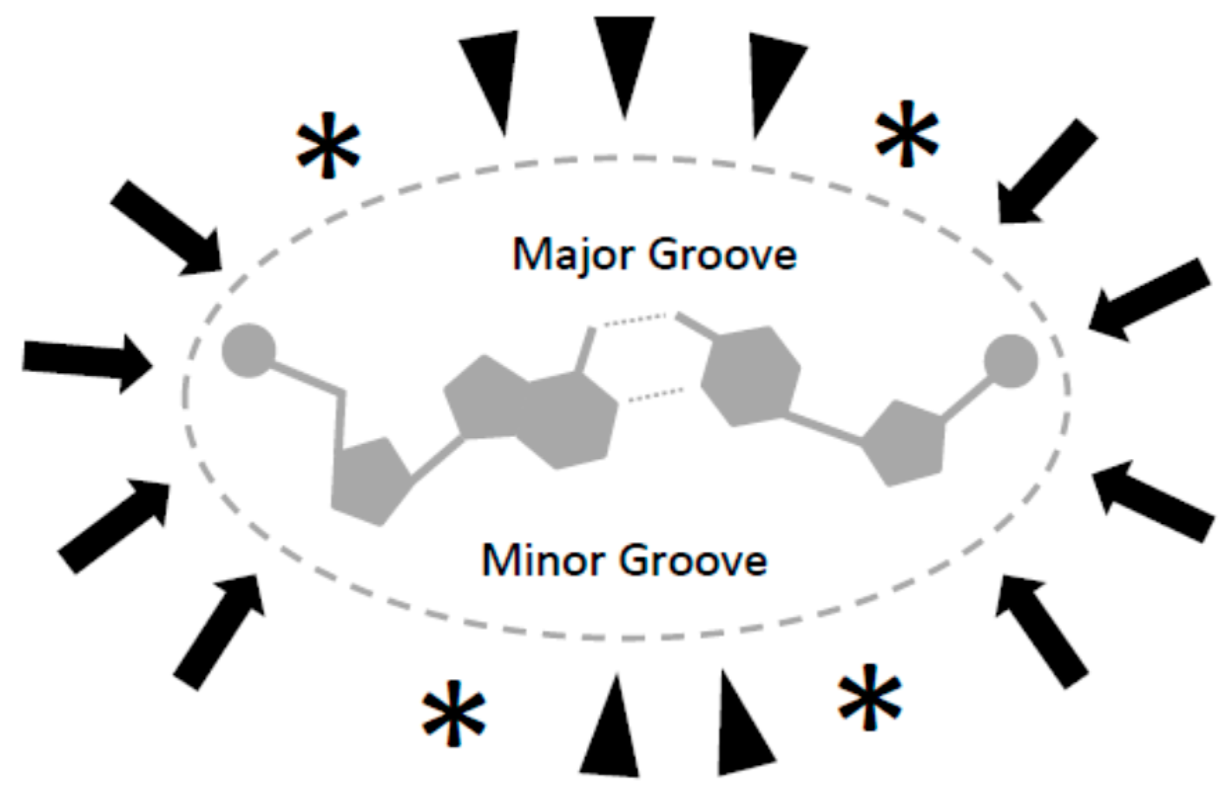Ijms 17 00550 g003