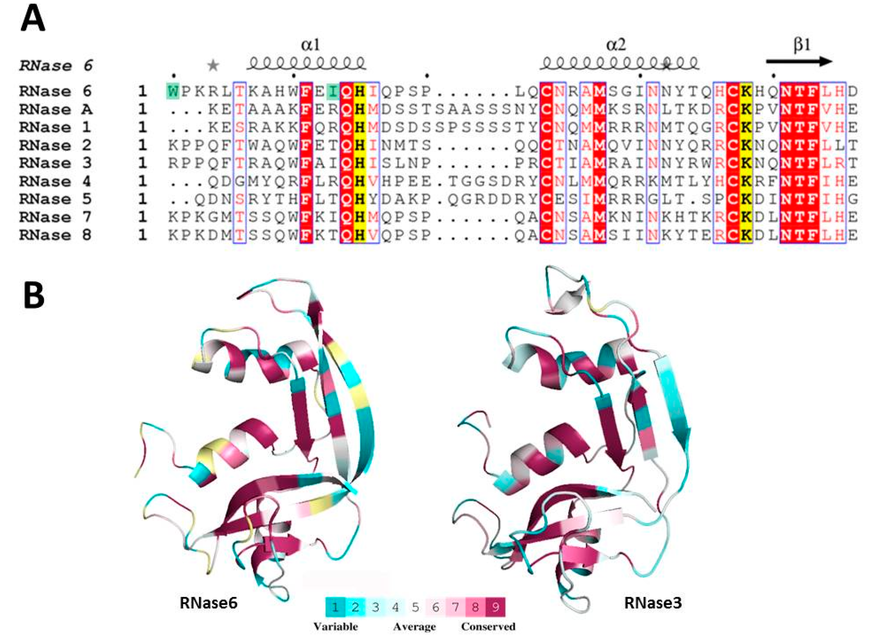 Ijms 17 00552 g001 1024