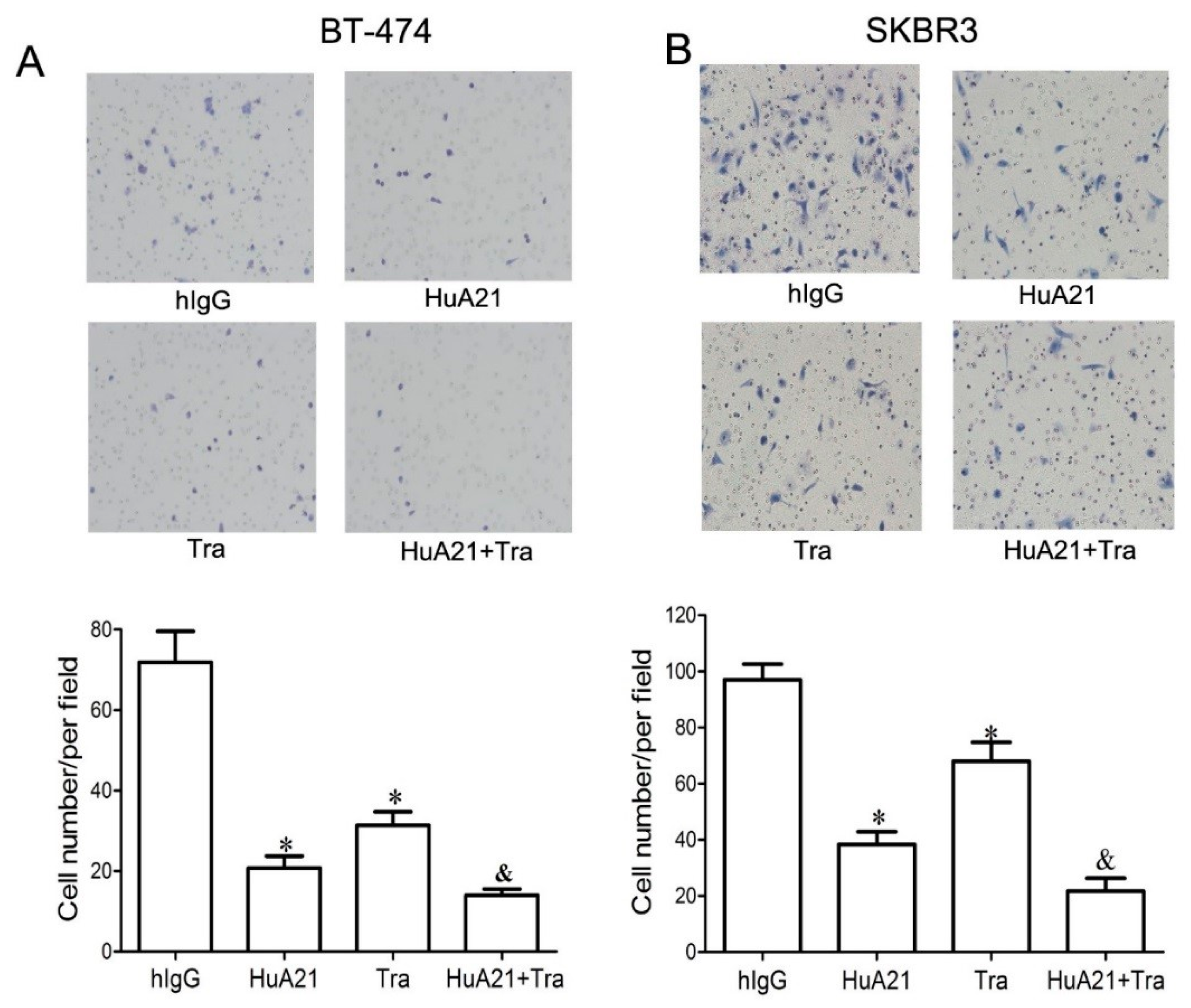 Ijms 17 00563 g003 1024