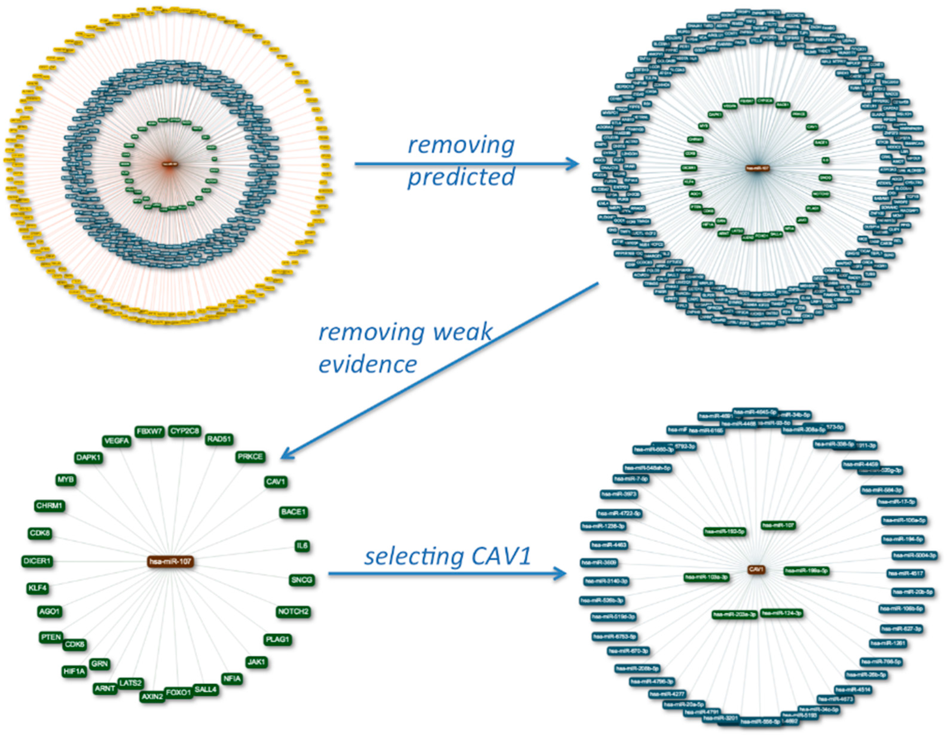 Ijms 17 00564 g001 1024