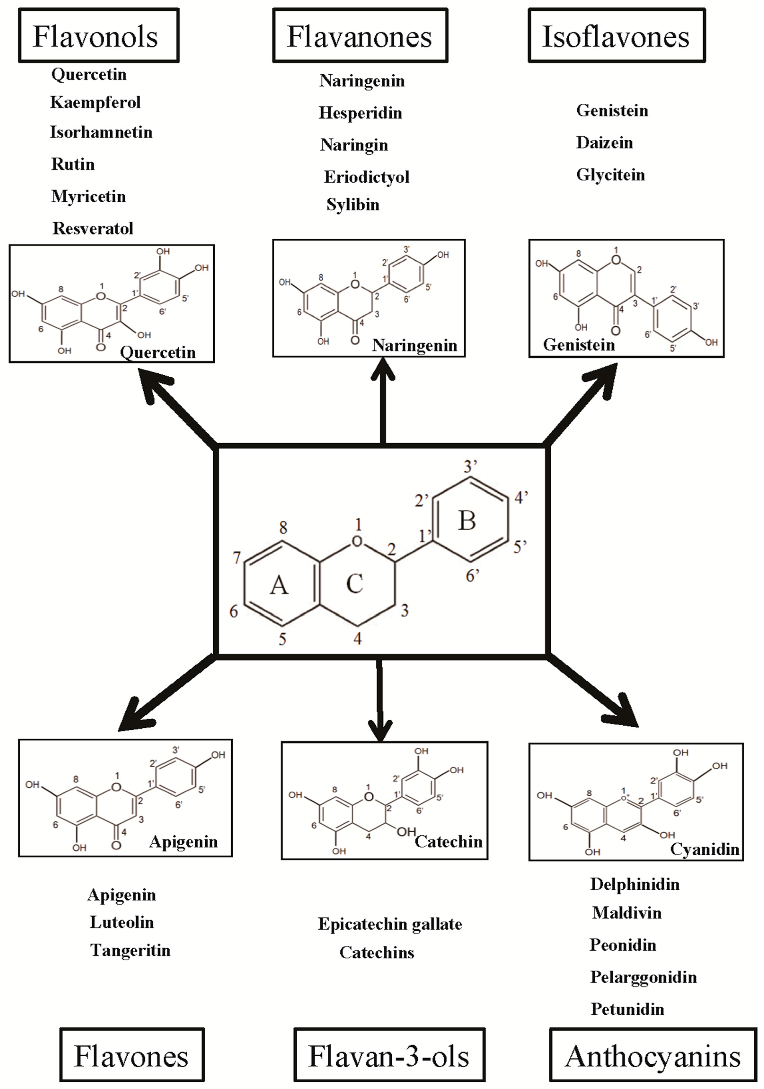とまと Molecular Mechanisms of the Anti-Obesity and Anti-Diabetic