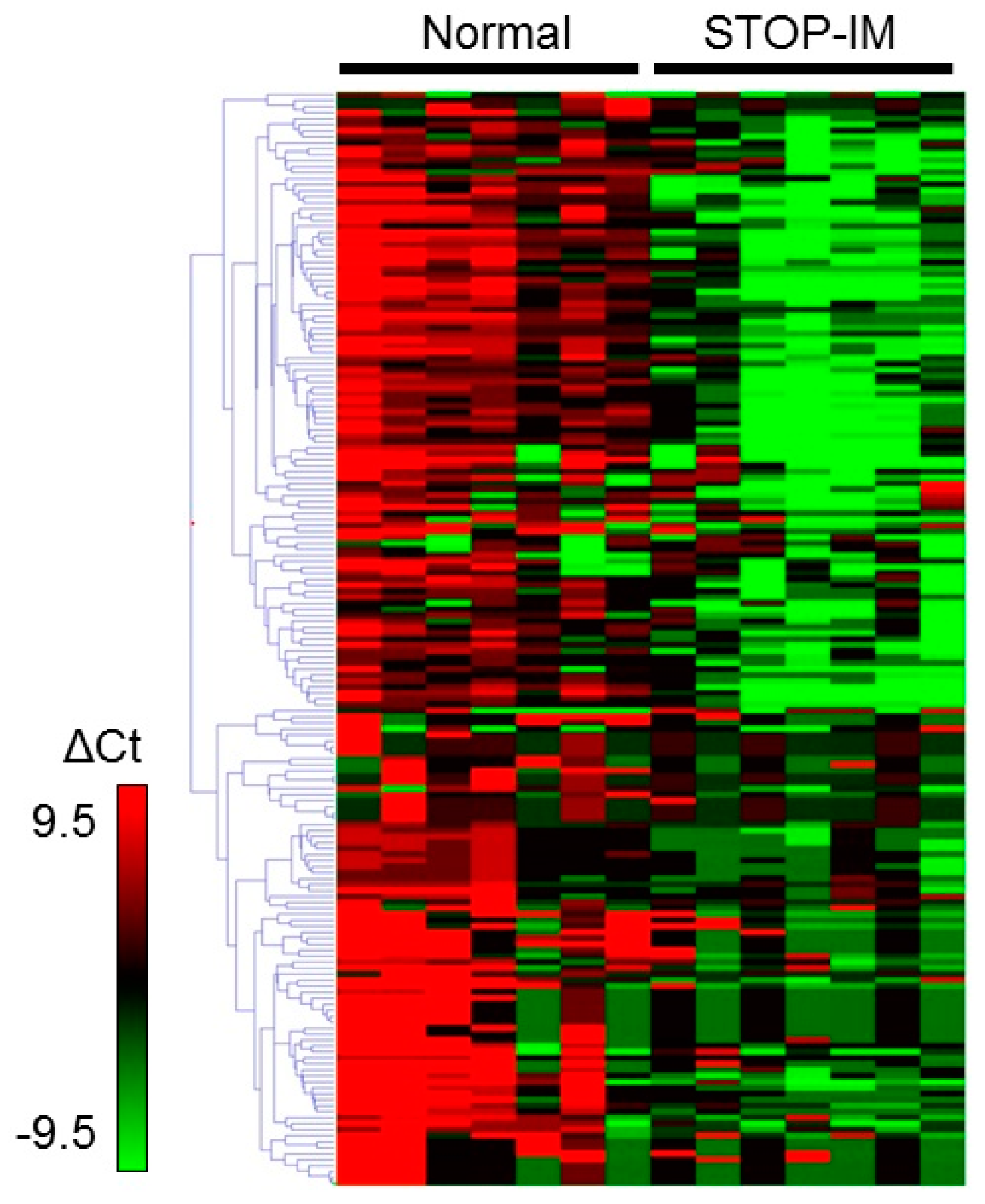 Ijms 17 00570 g001 1024