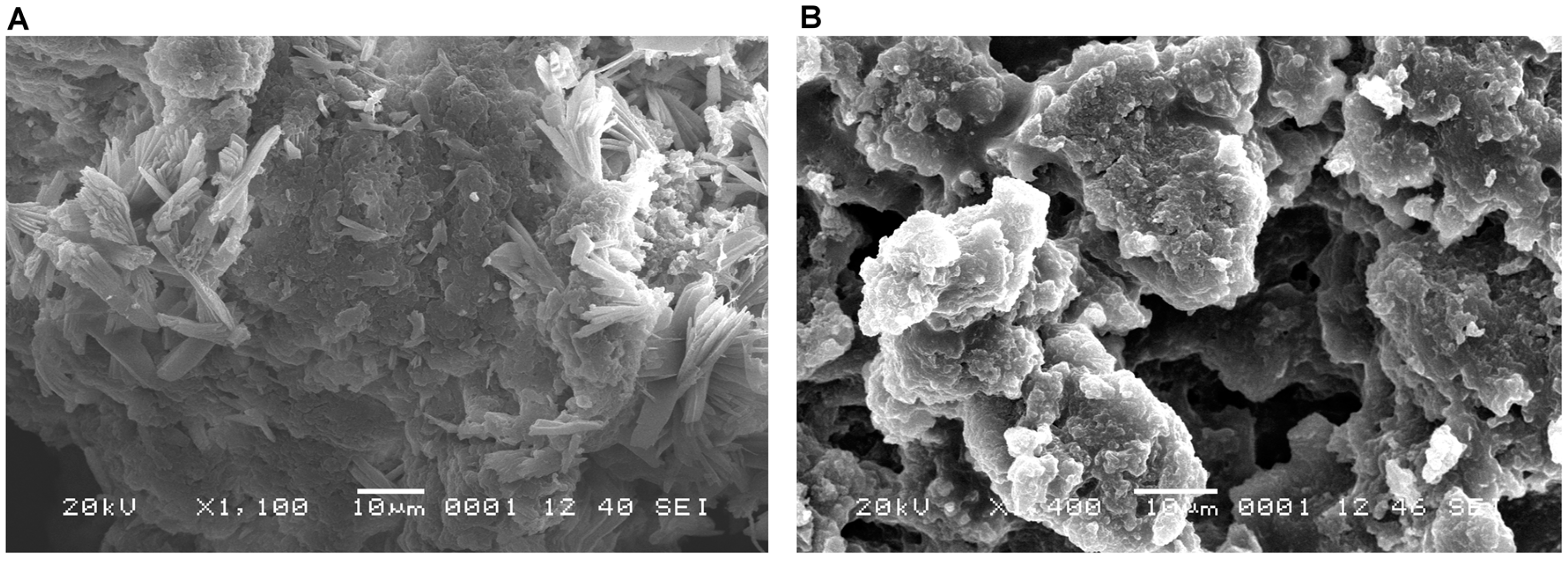 Ijms 17 00574 g006