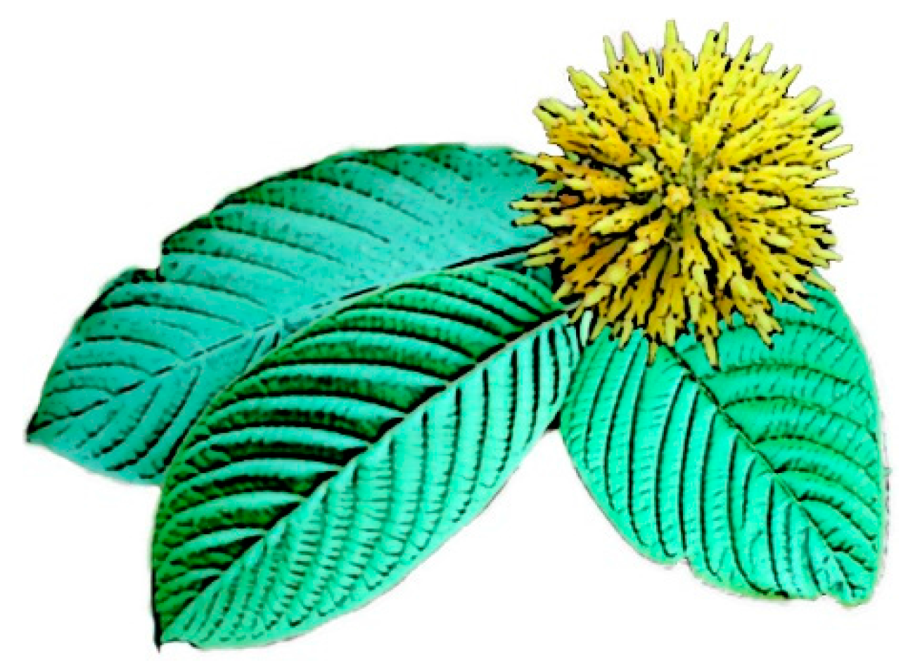 Ijms 17 00580 g002