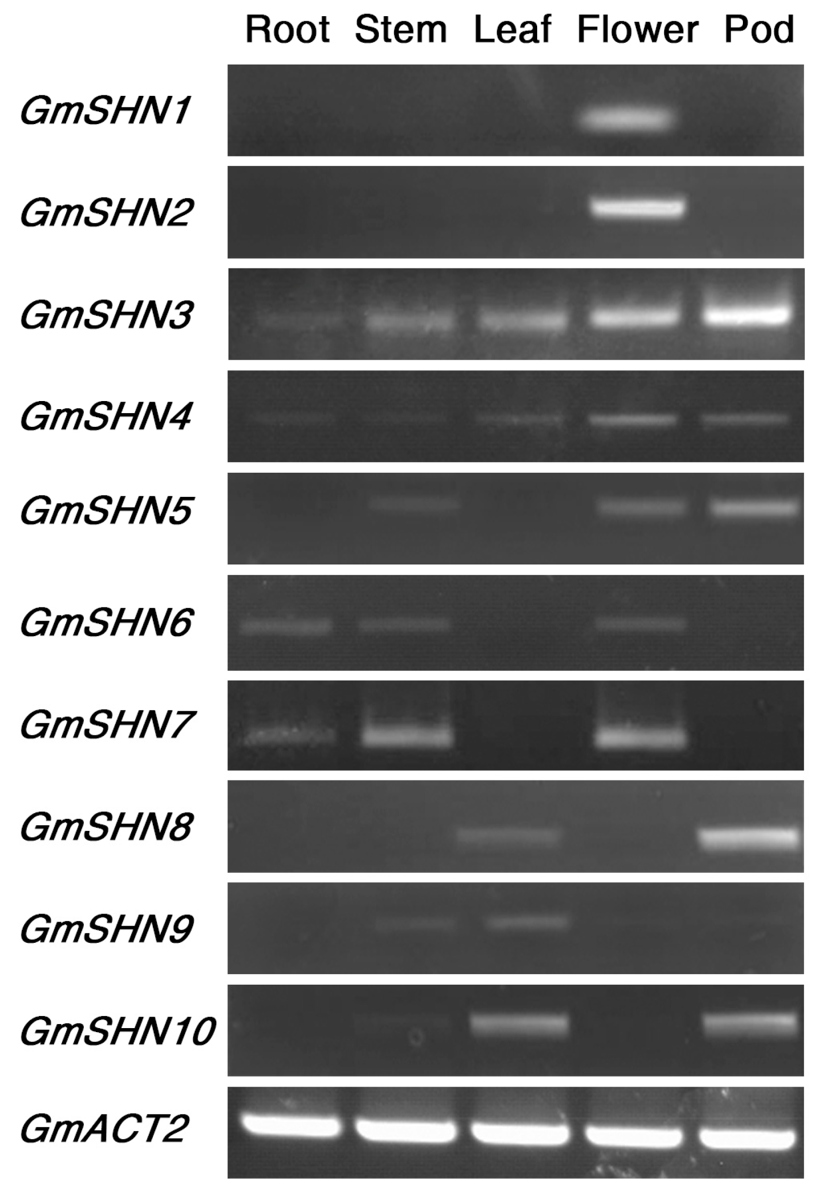 Ijms 17 00587 g003