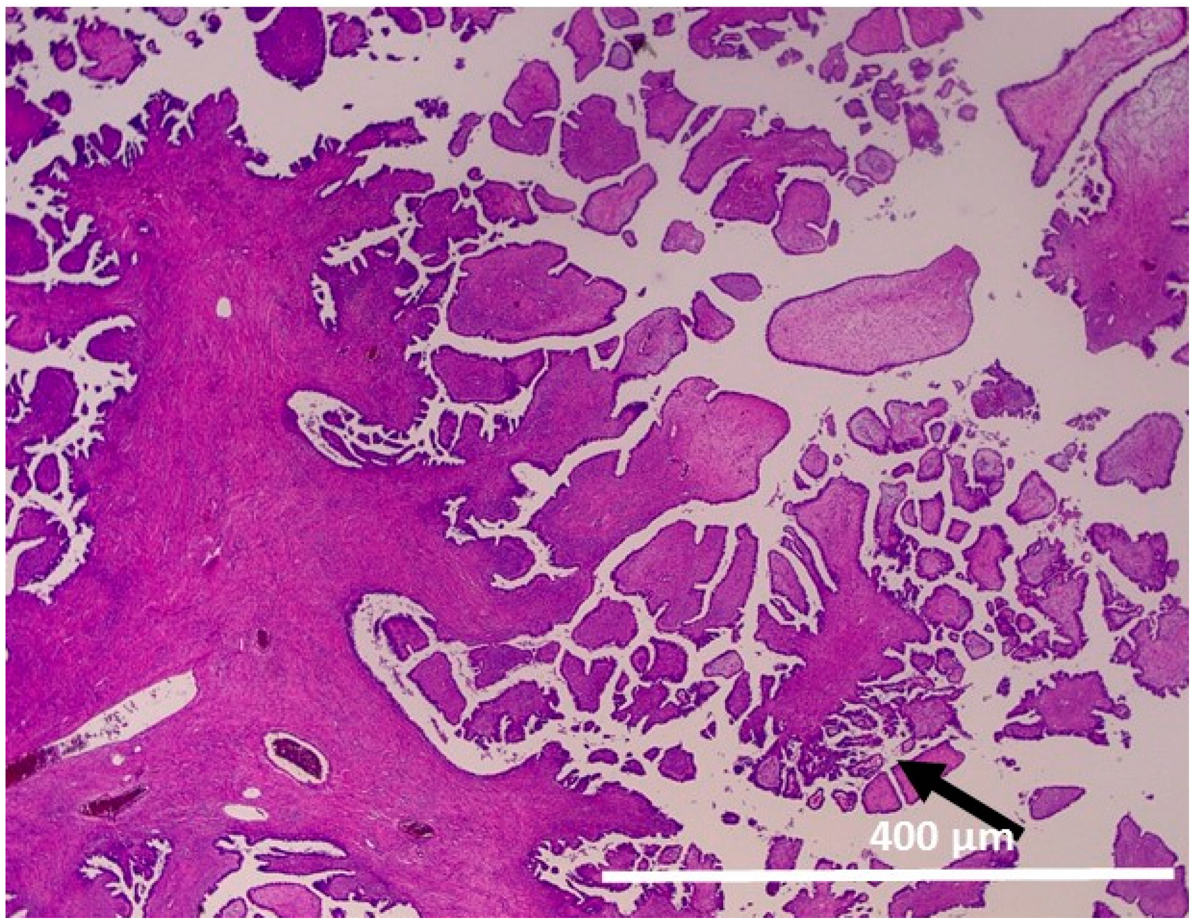 Ijms 17 00625 g001 1024