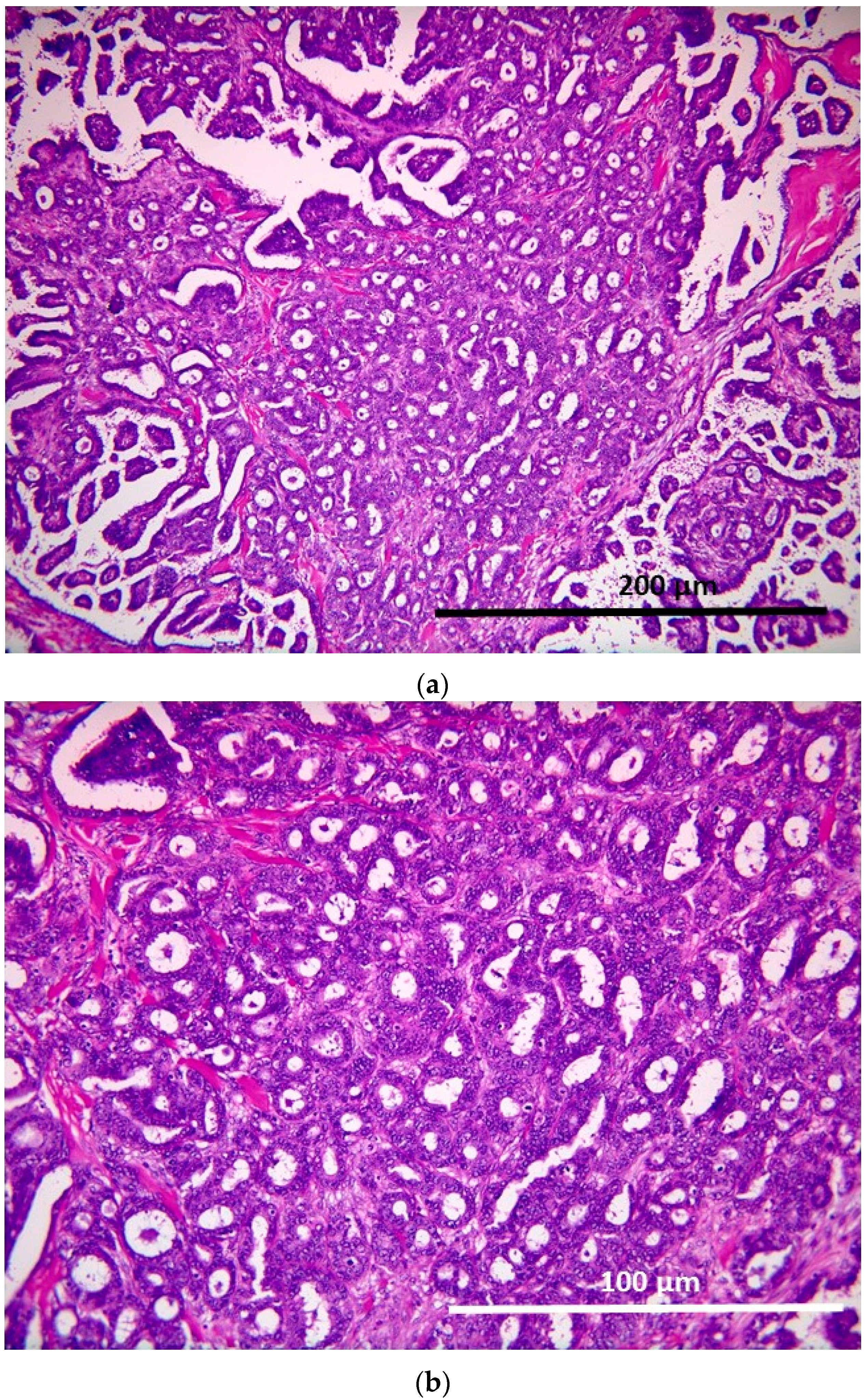 Ijms 17 00625 g004 1024