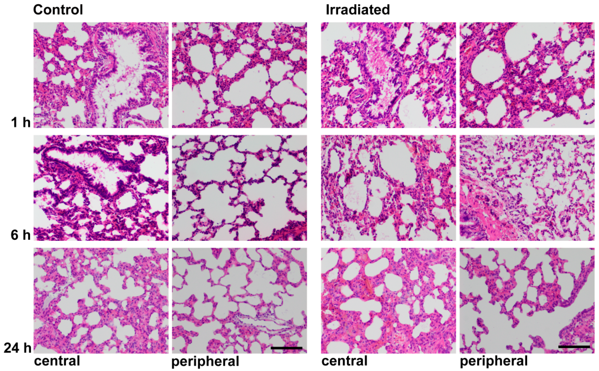 Ijms 17 00637 g003