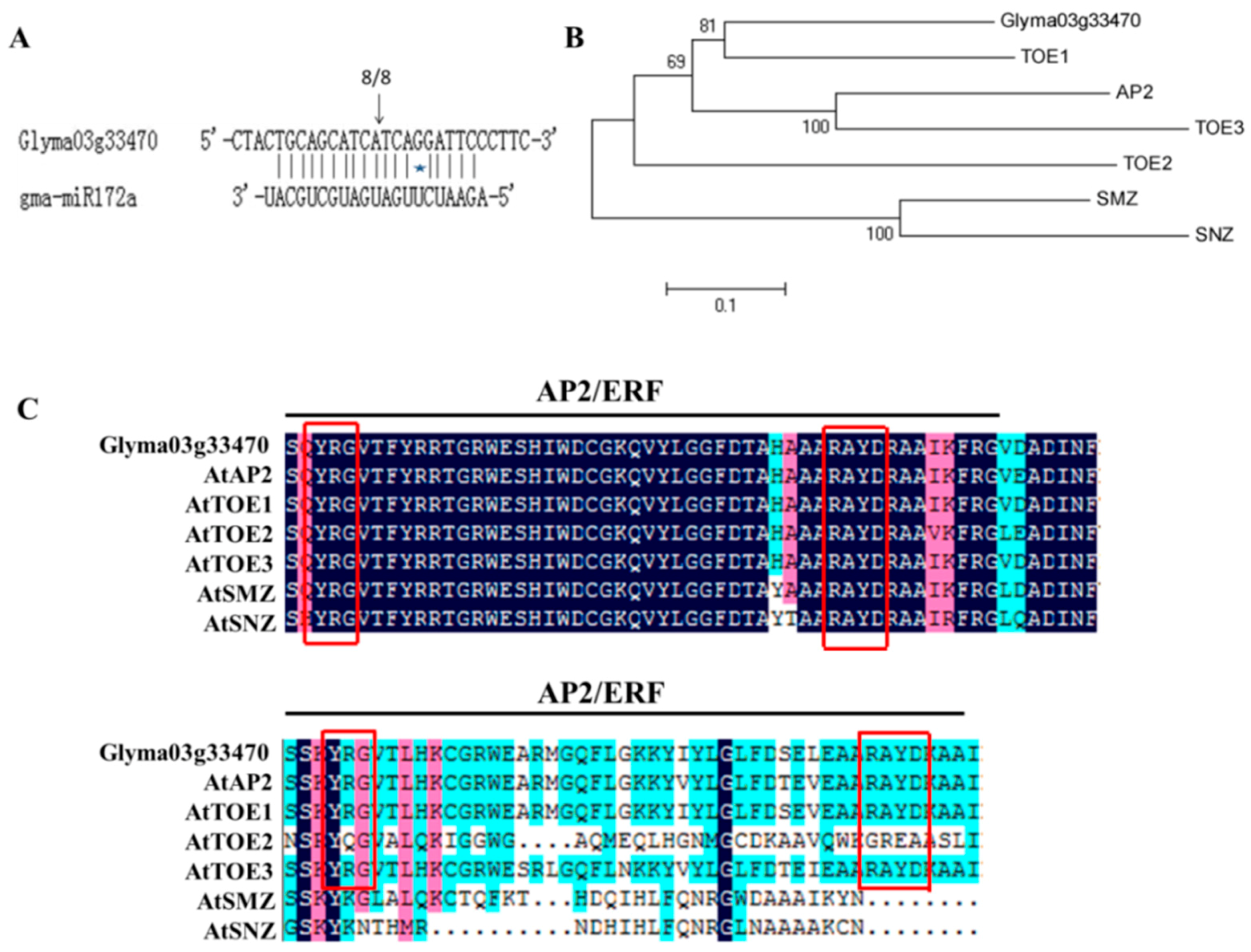 Ijms 17 00645 g001 1024