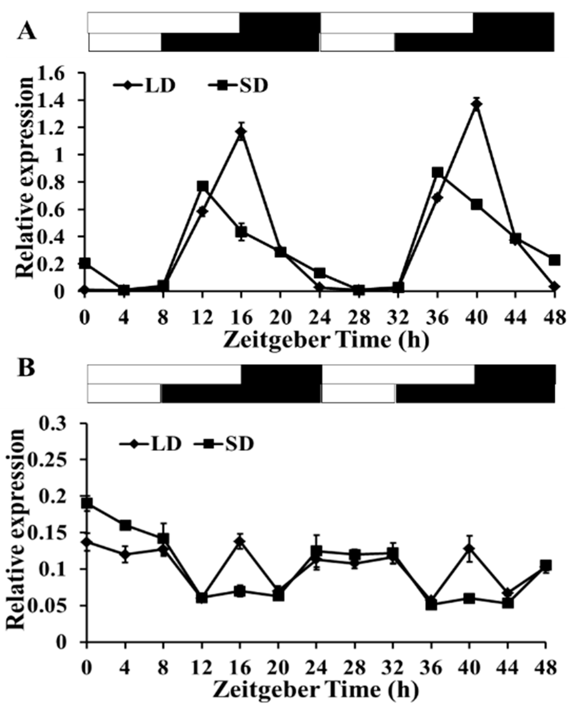 Ijms 17 00645 g003 1024