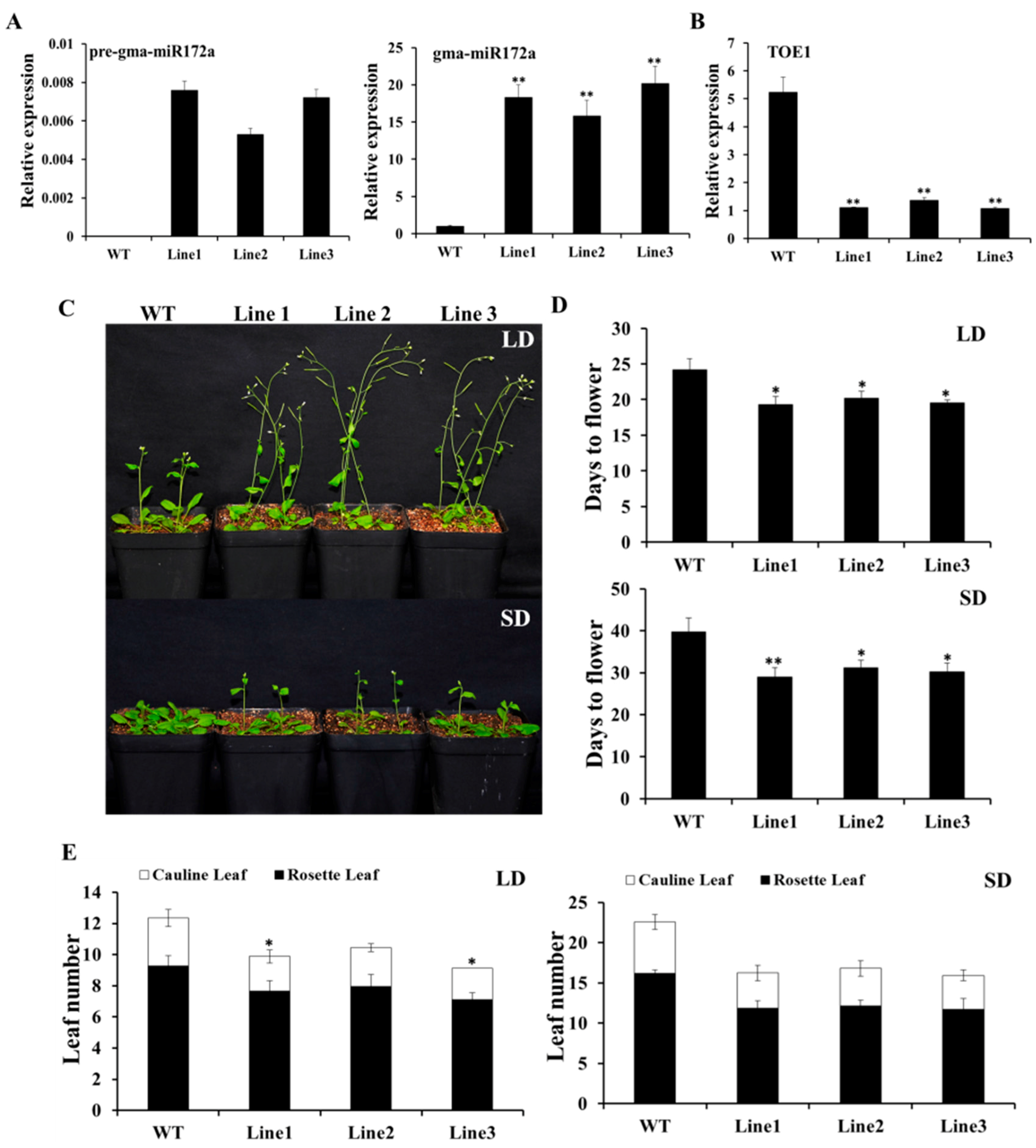 Ijms 17 00645 g004 1024