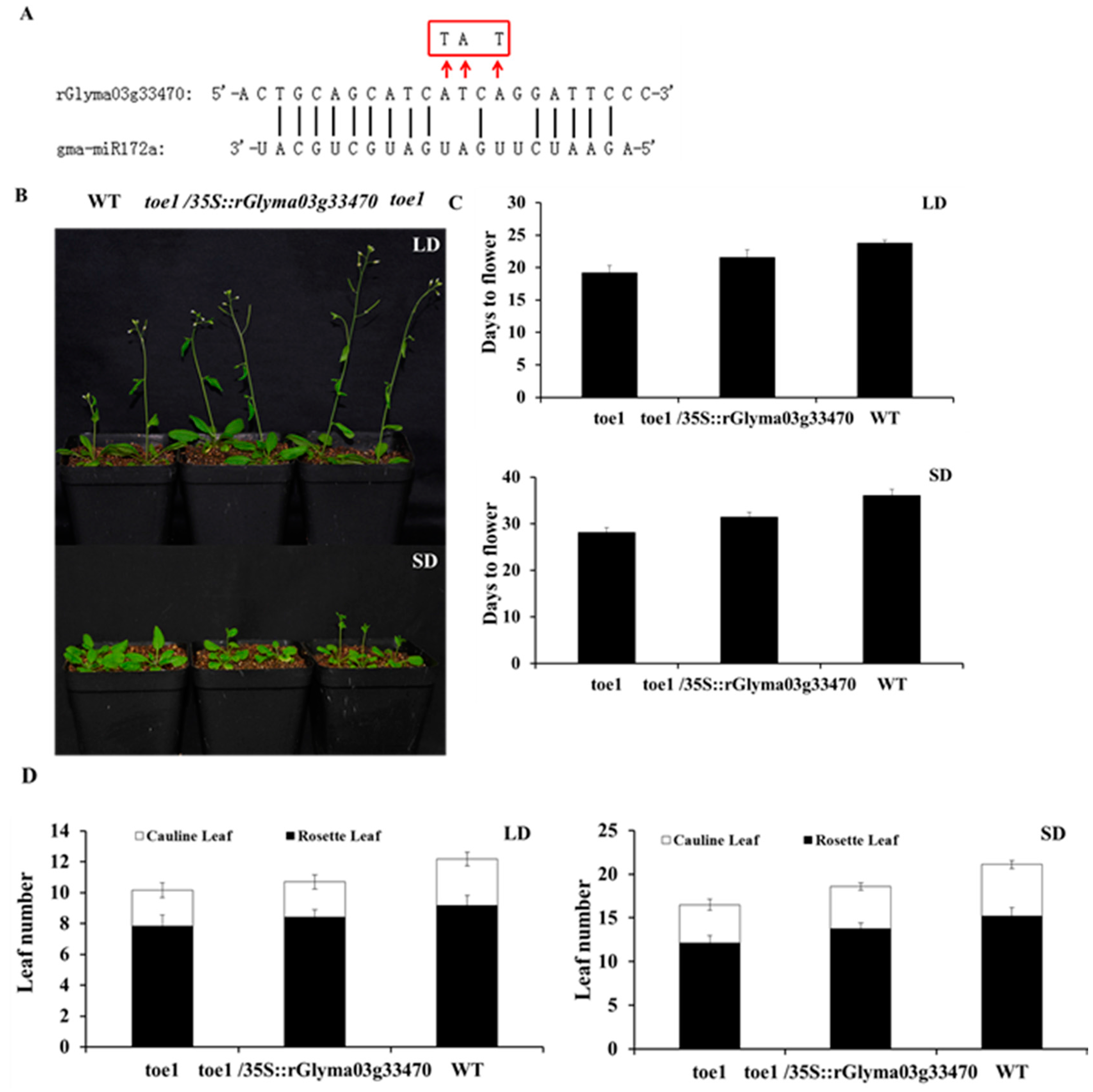 Ijms 17 00645 g006 1024