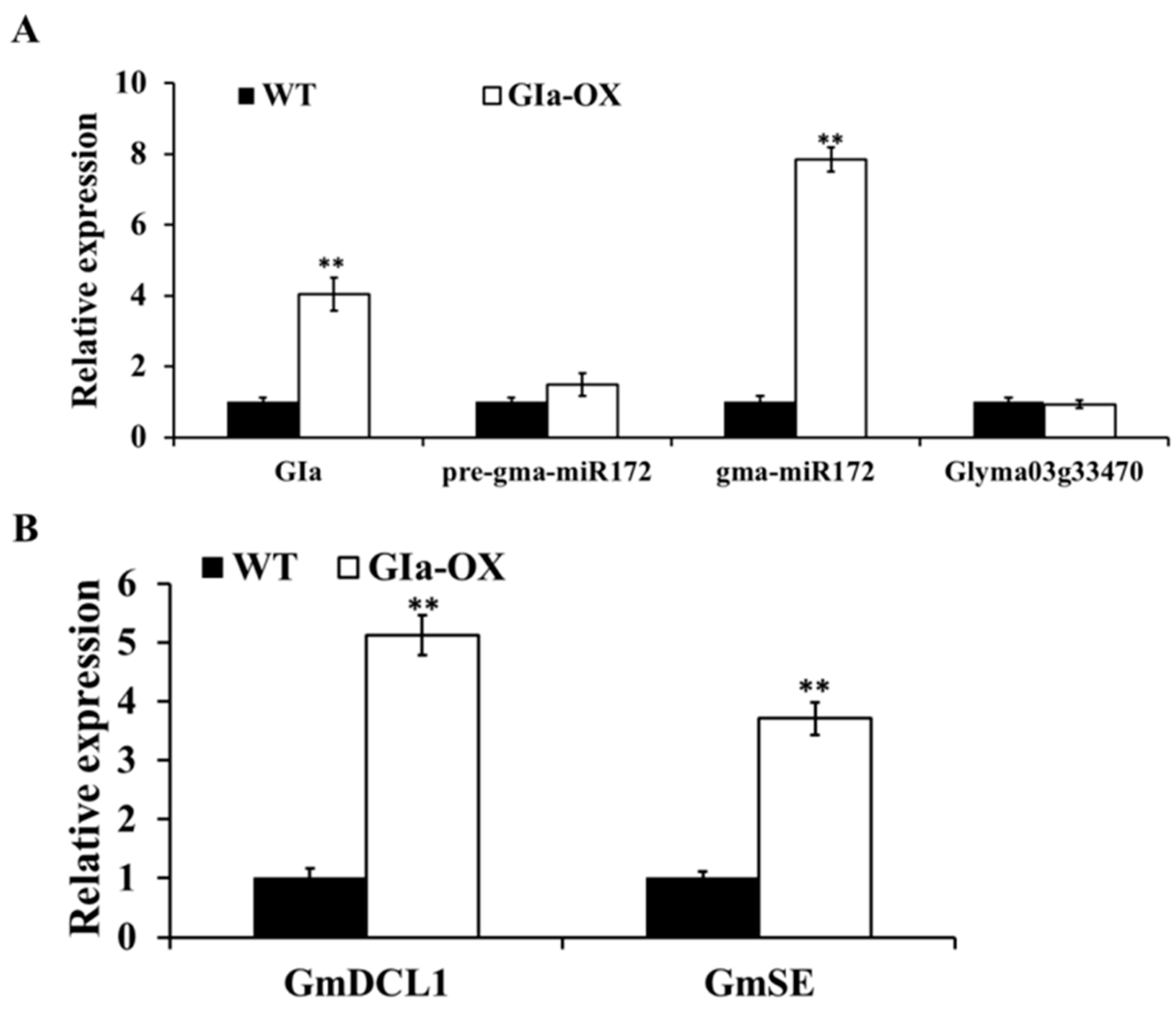 Ijms 17 00645 g007 1024