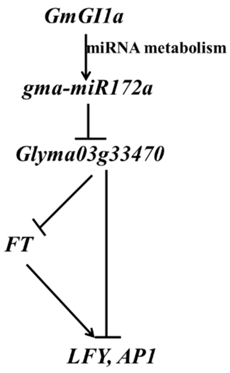 Ijms 17 00645 g008 1024