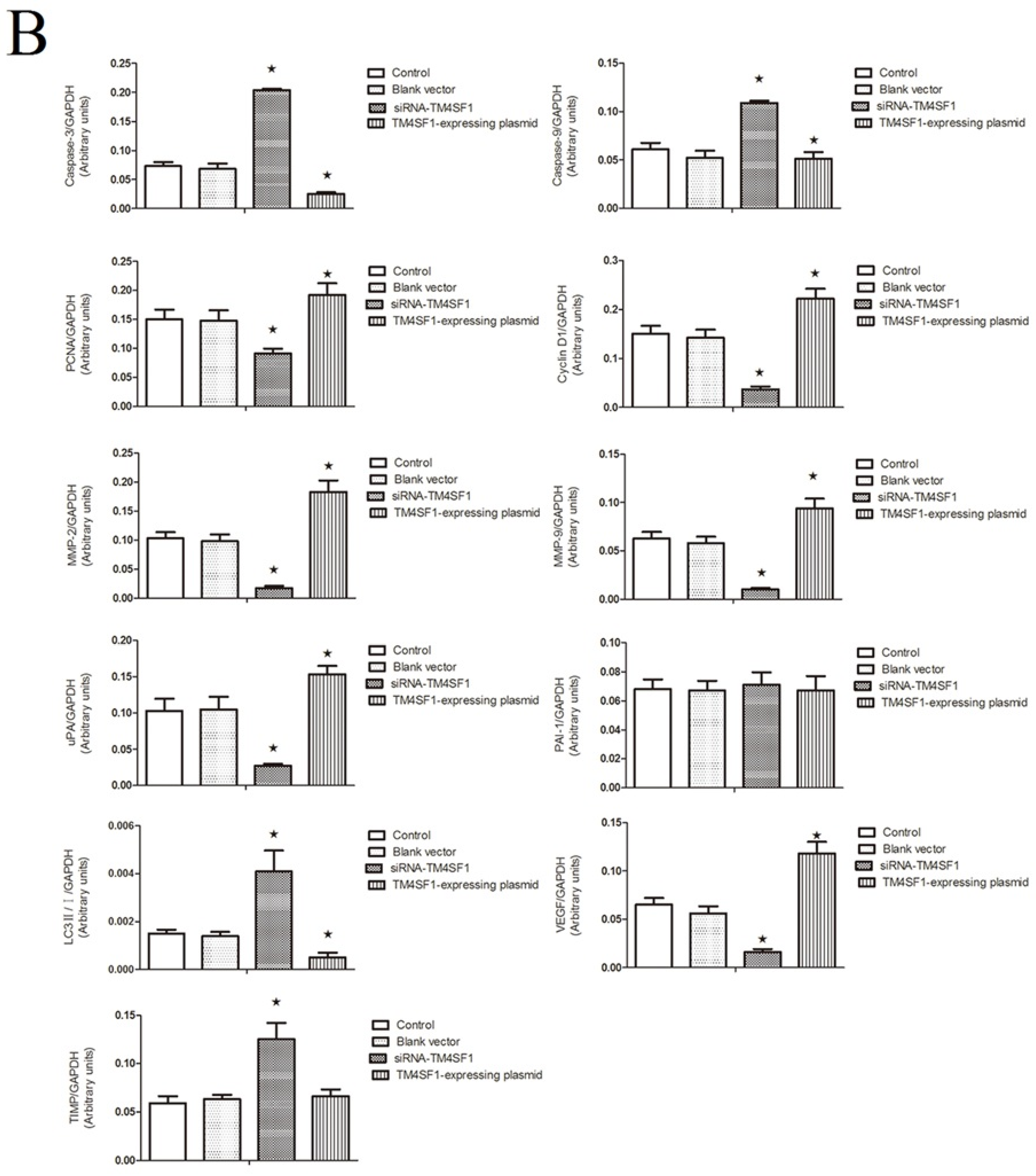 Ijms 17 00661 g003b 1024