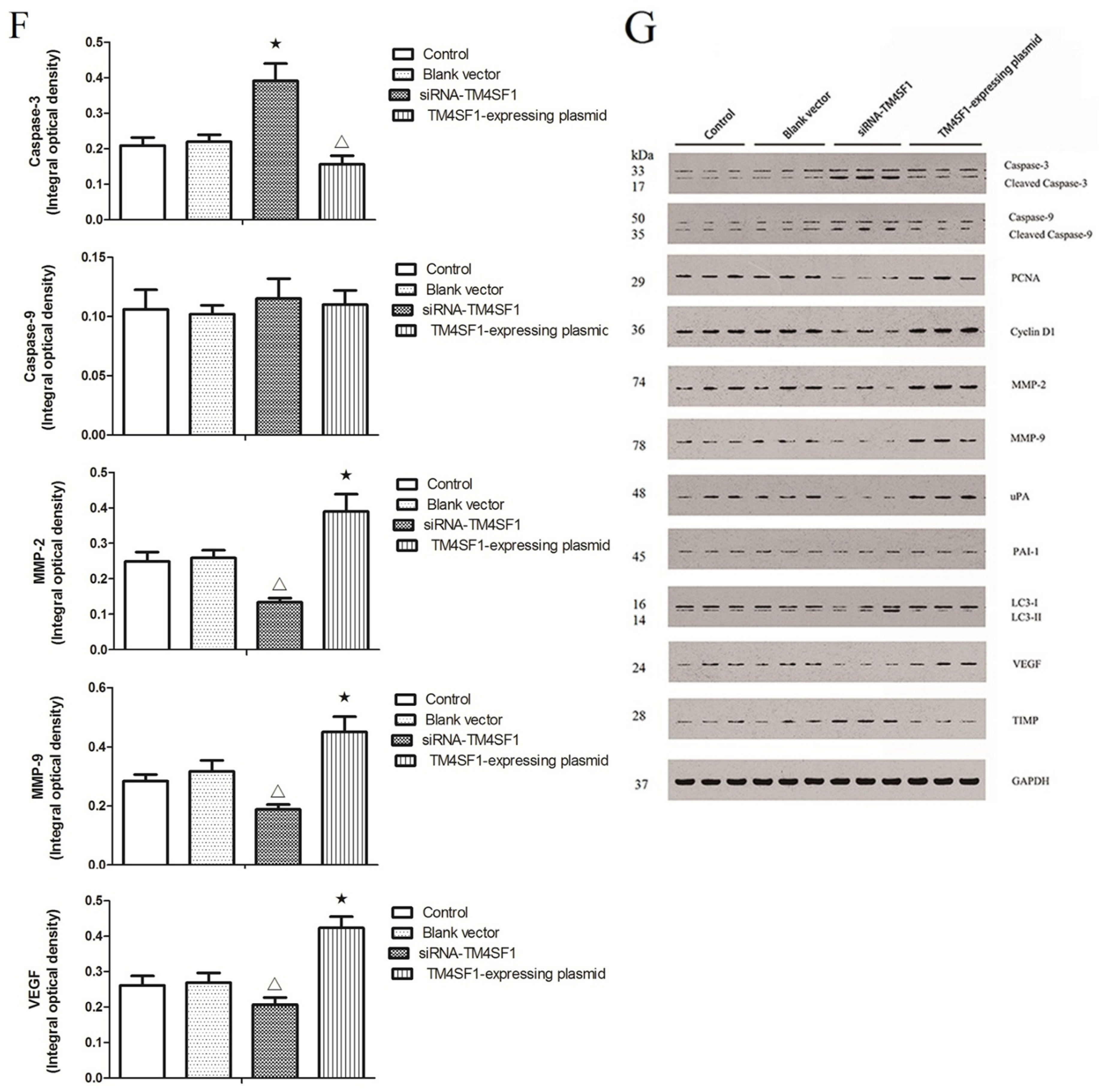 Ijms 17 00661 g005b 1024