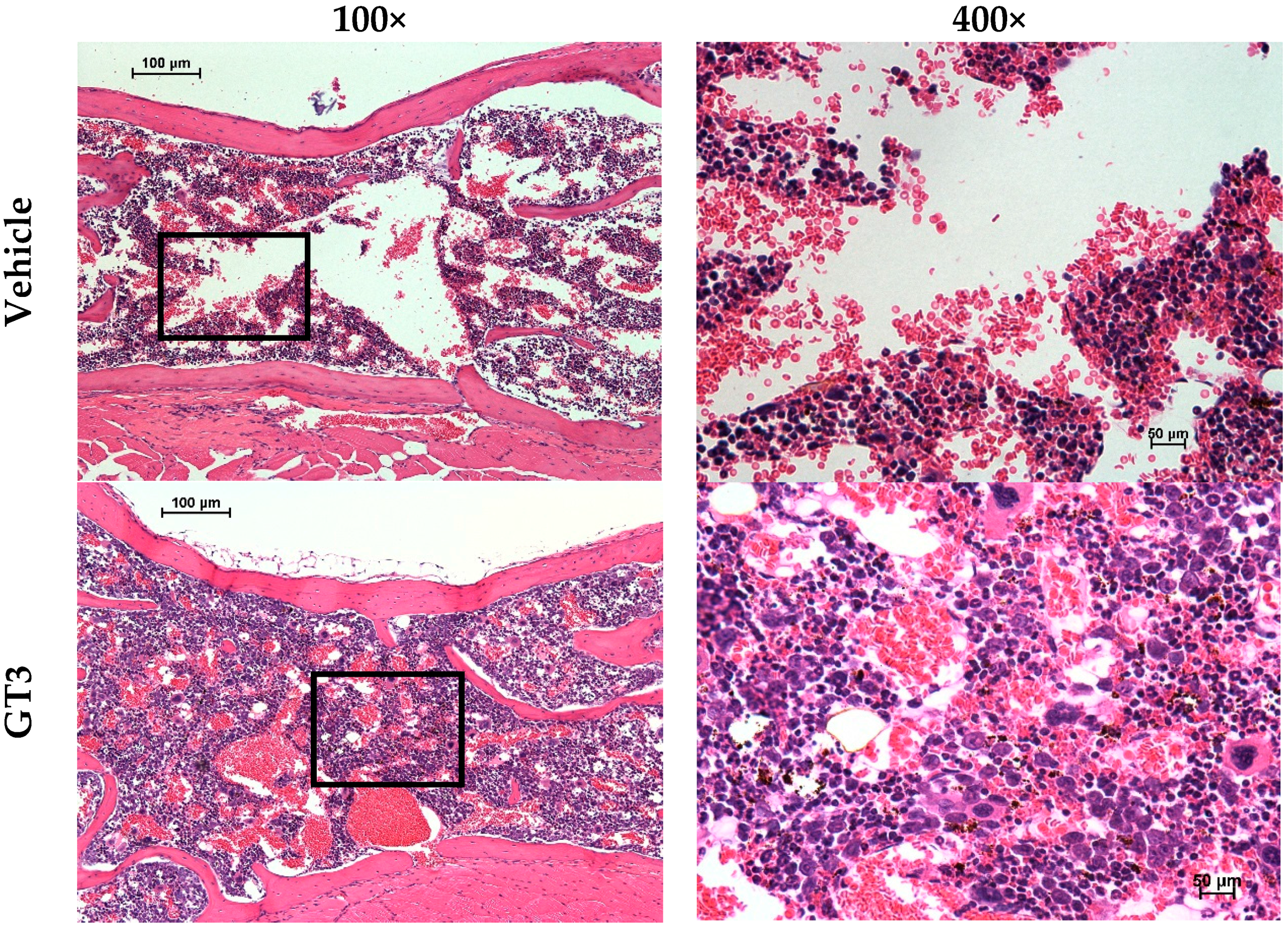 Ijms 17 00663 g003