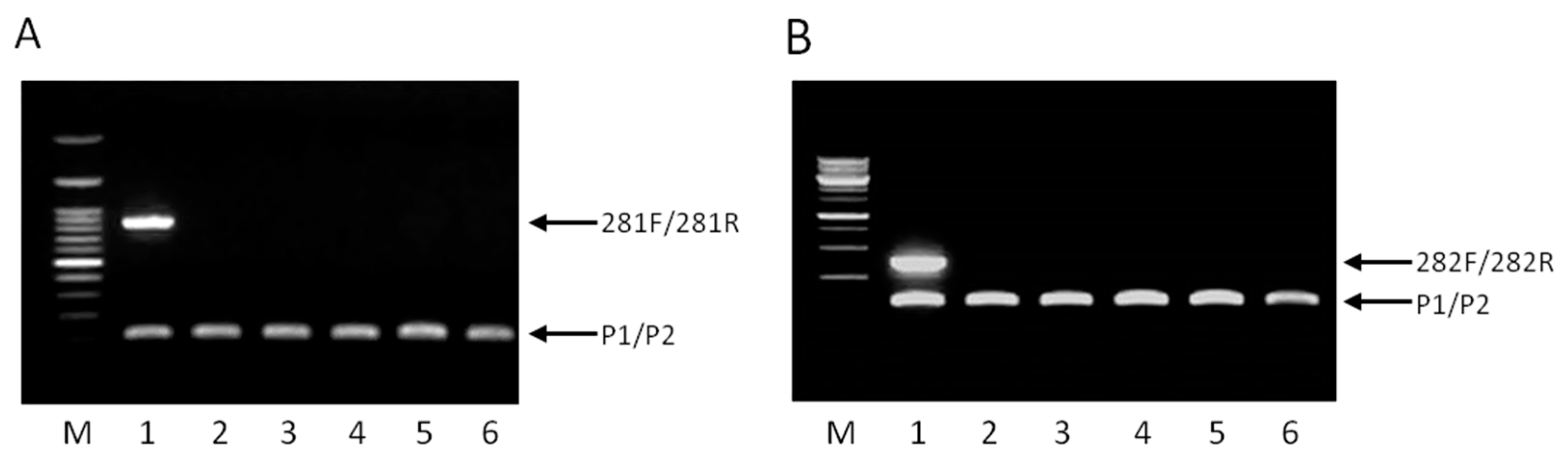 Ijms 17 00668 g002 1024