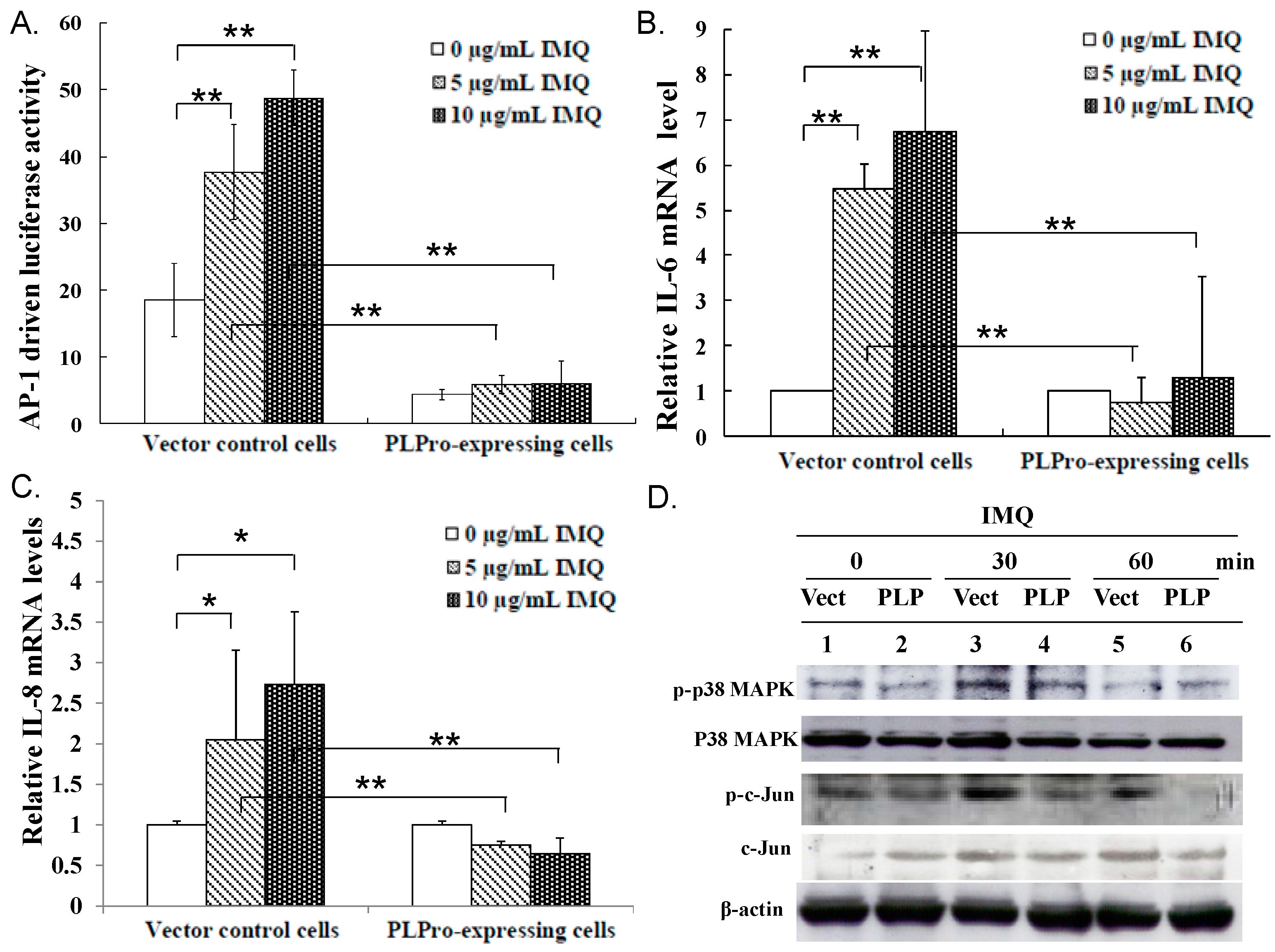 Ijms 17 00678 g004 1024