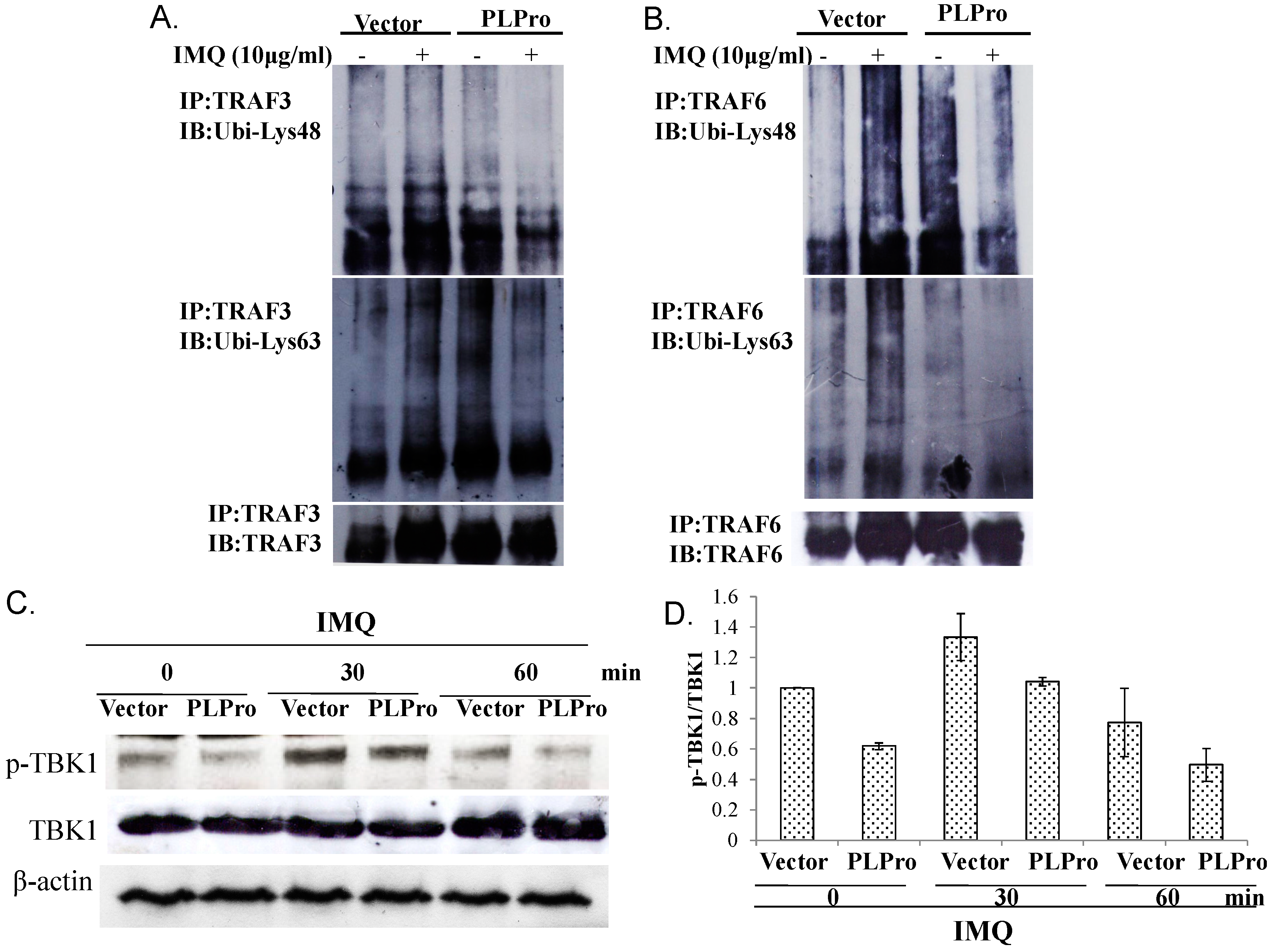 Ijms 17 00678 g005 1024
