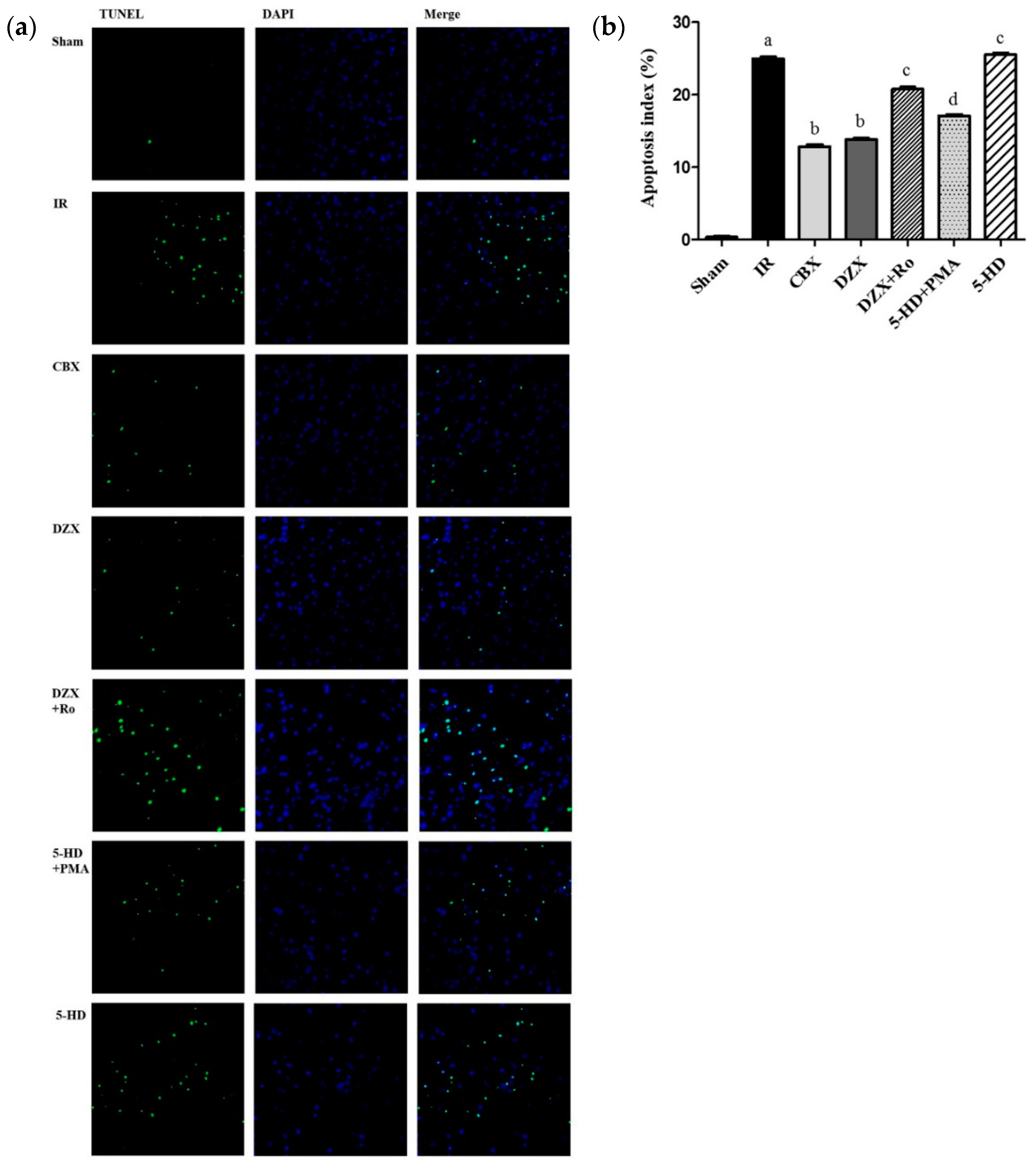 Ijms 17 00679 g004 1024