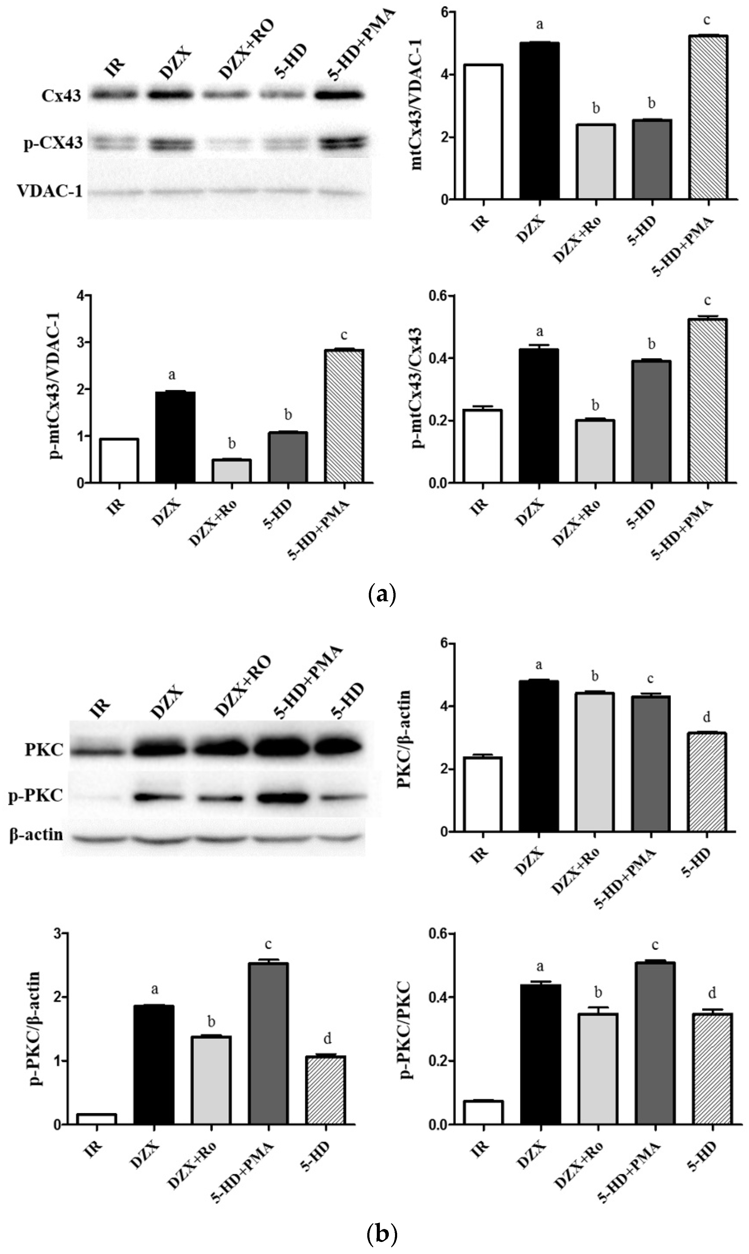 Ijms 17 00679 g007 1024