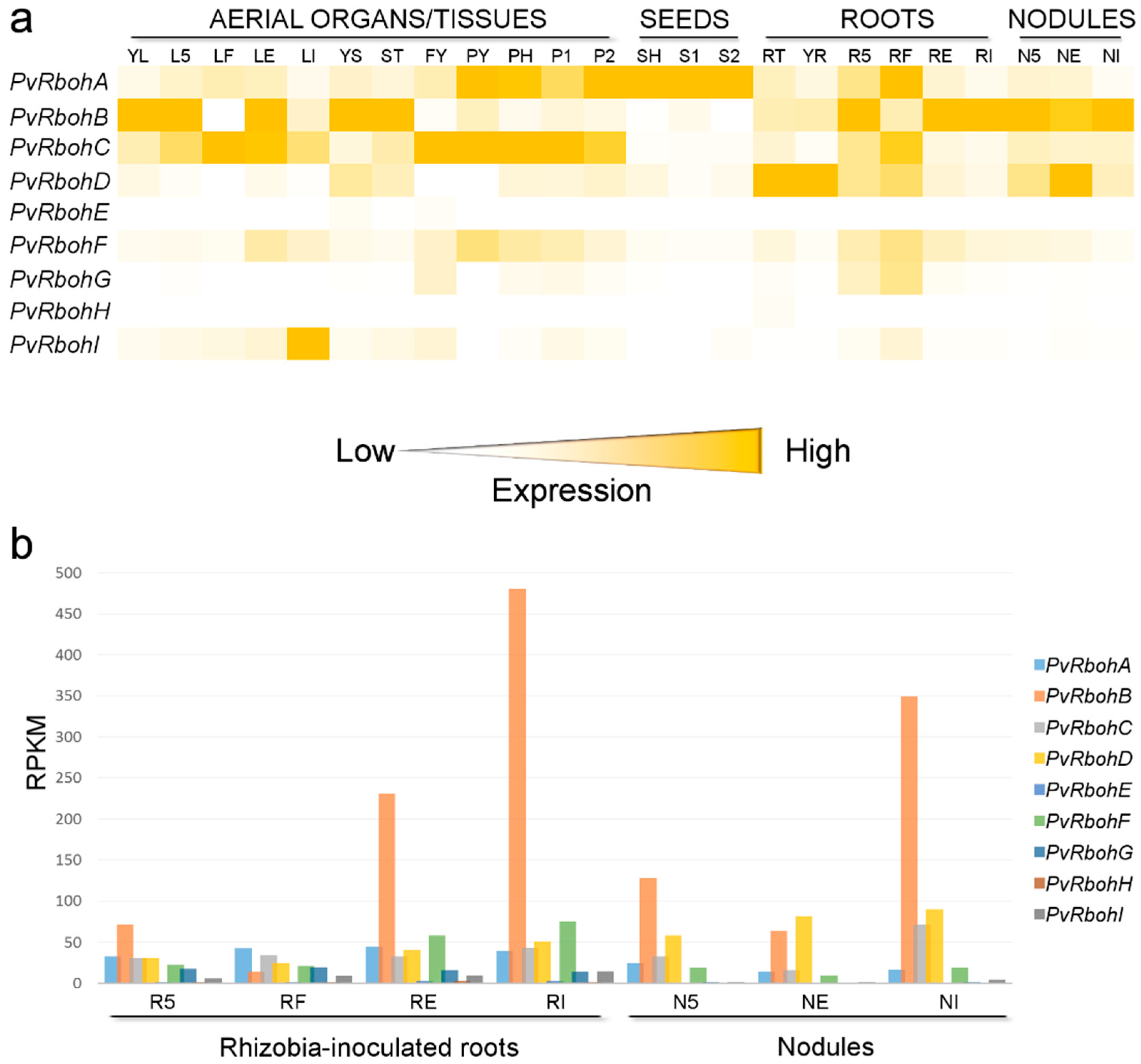 Ijms 17 00680 g003 1024