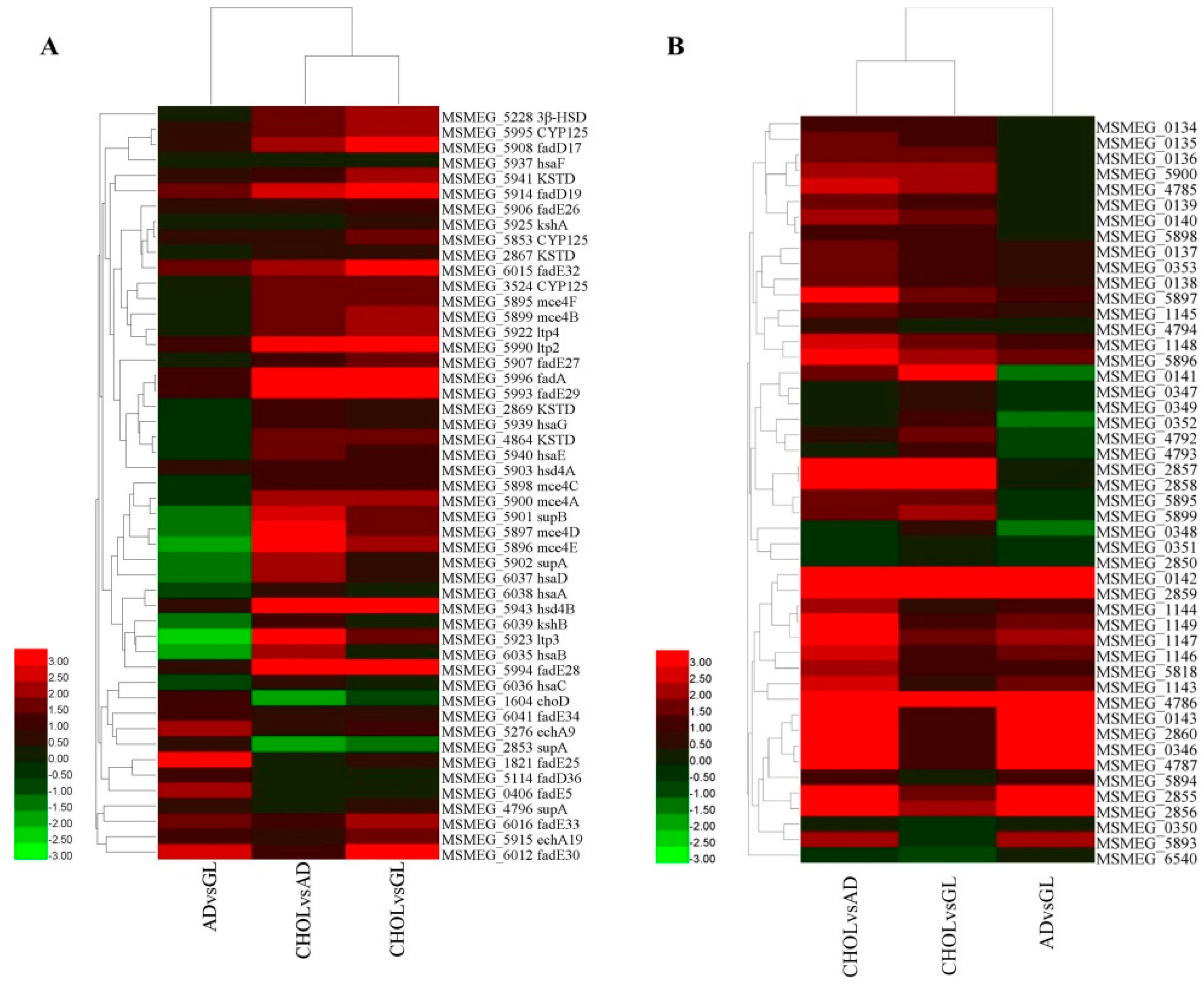 Ijms 17 00689 g003 1024