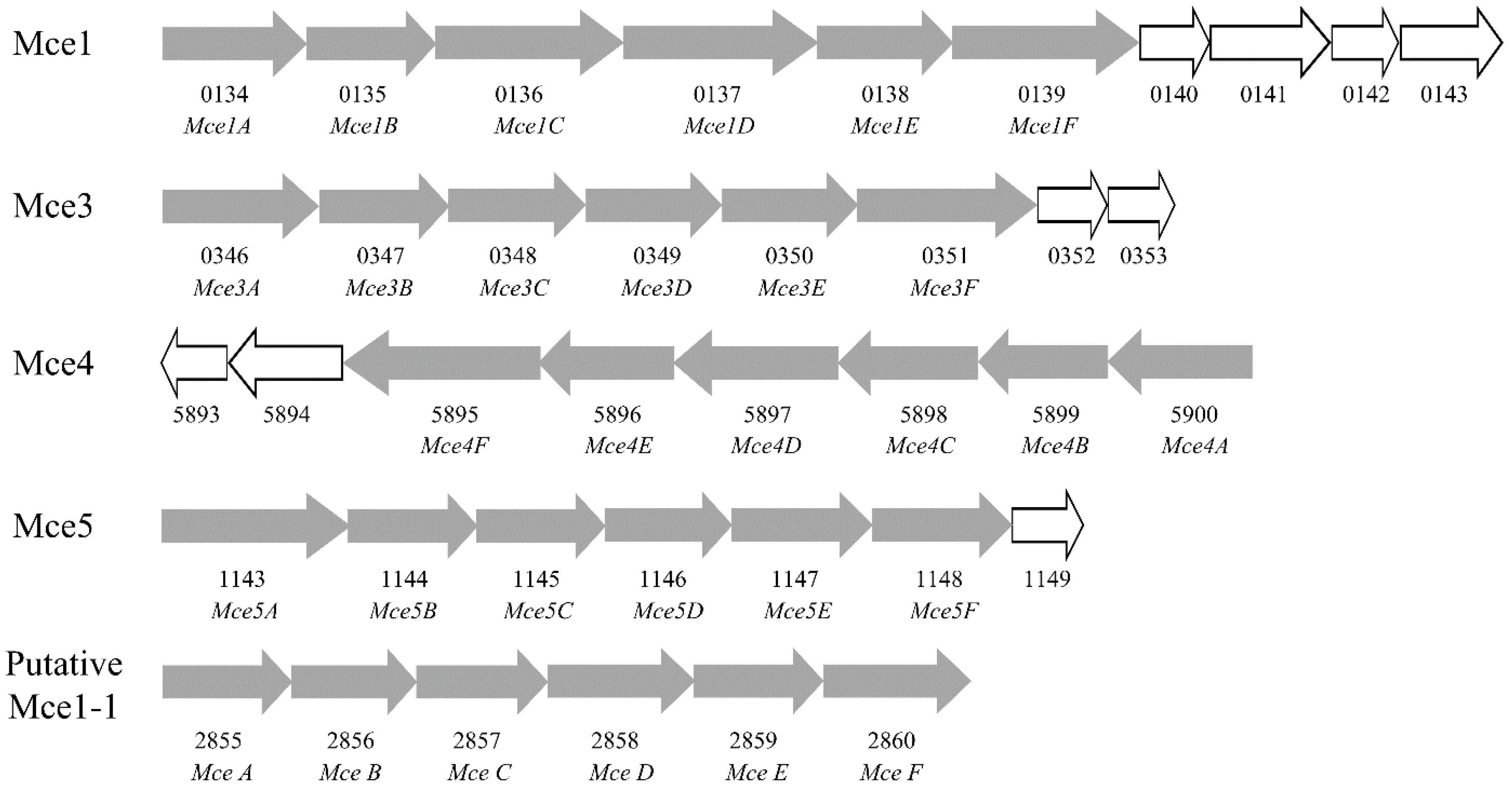 Ijms 17 00689 g005 1024